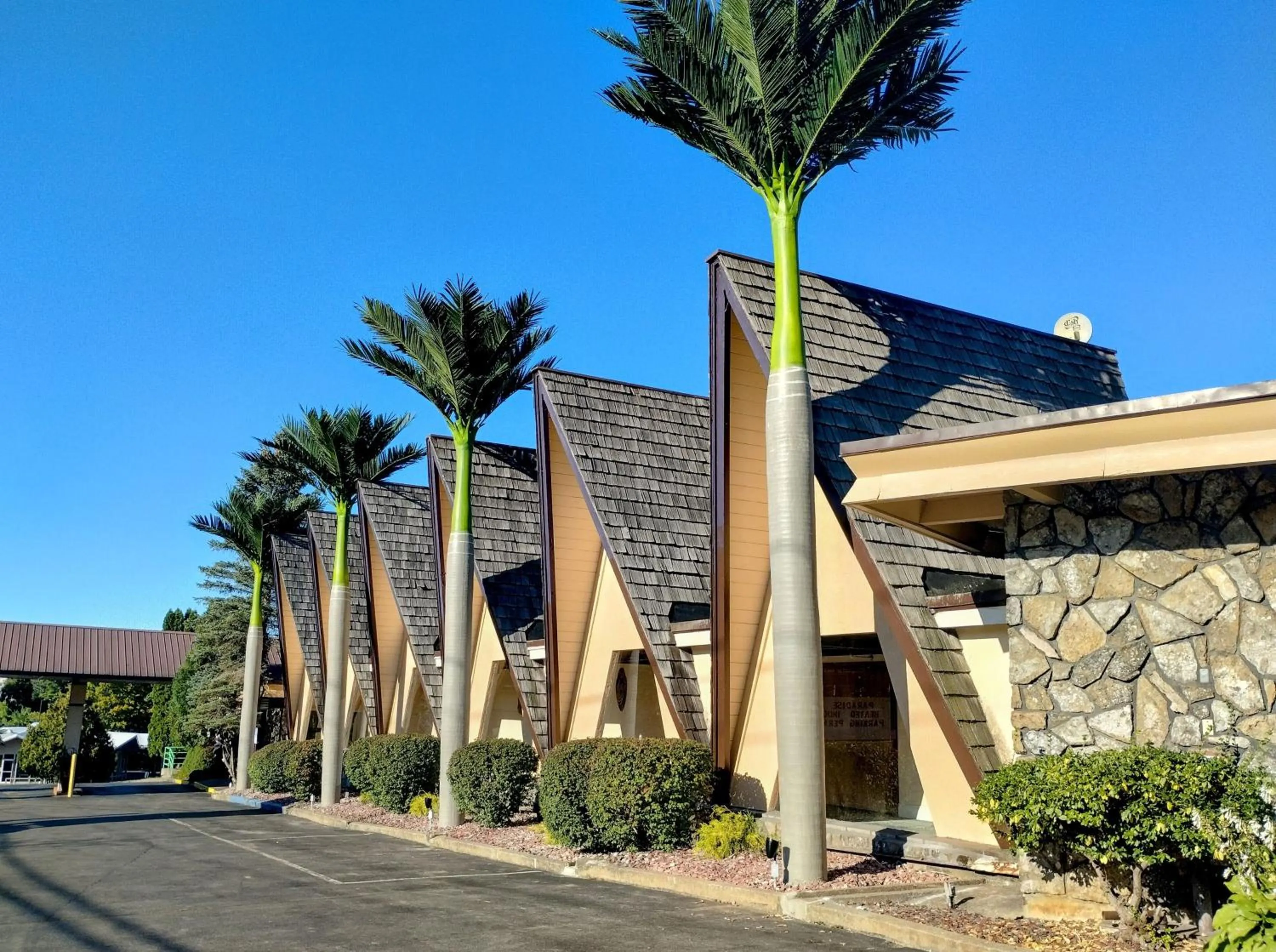 Property building in Tiki Resort - Lake George