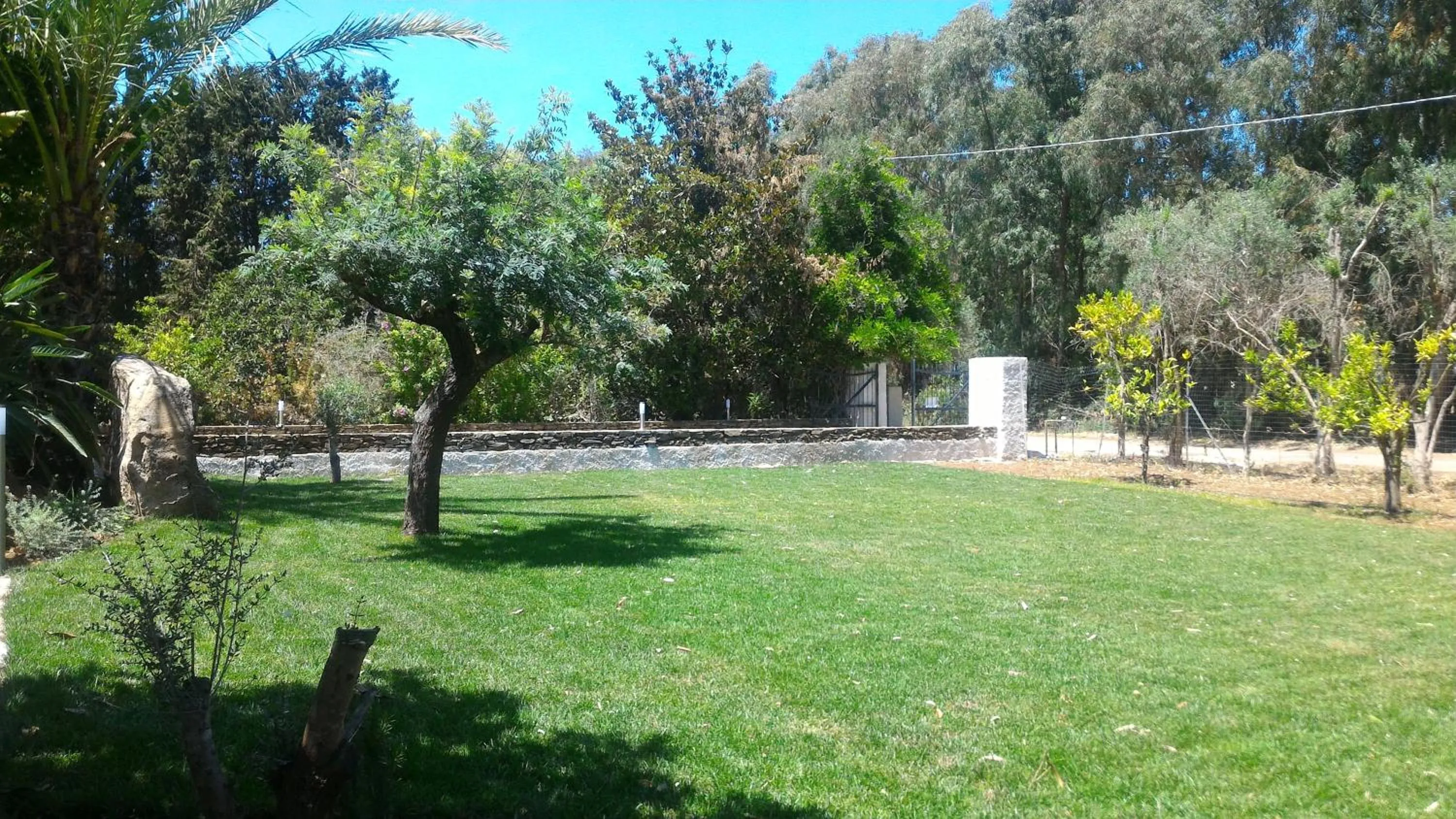 Garden in Villa Canu