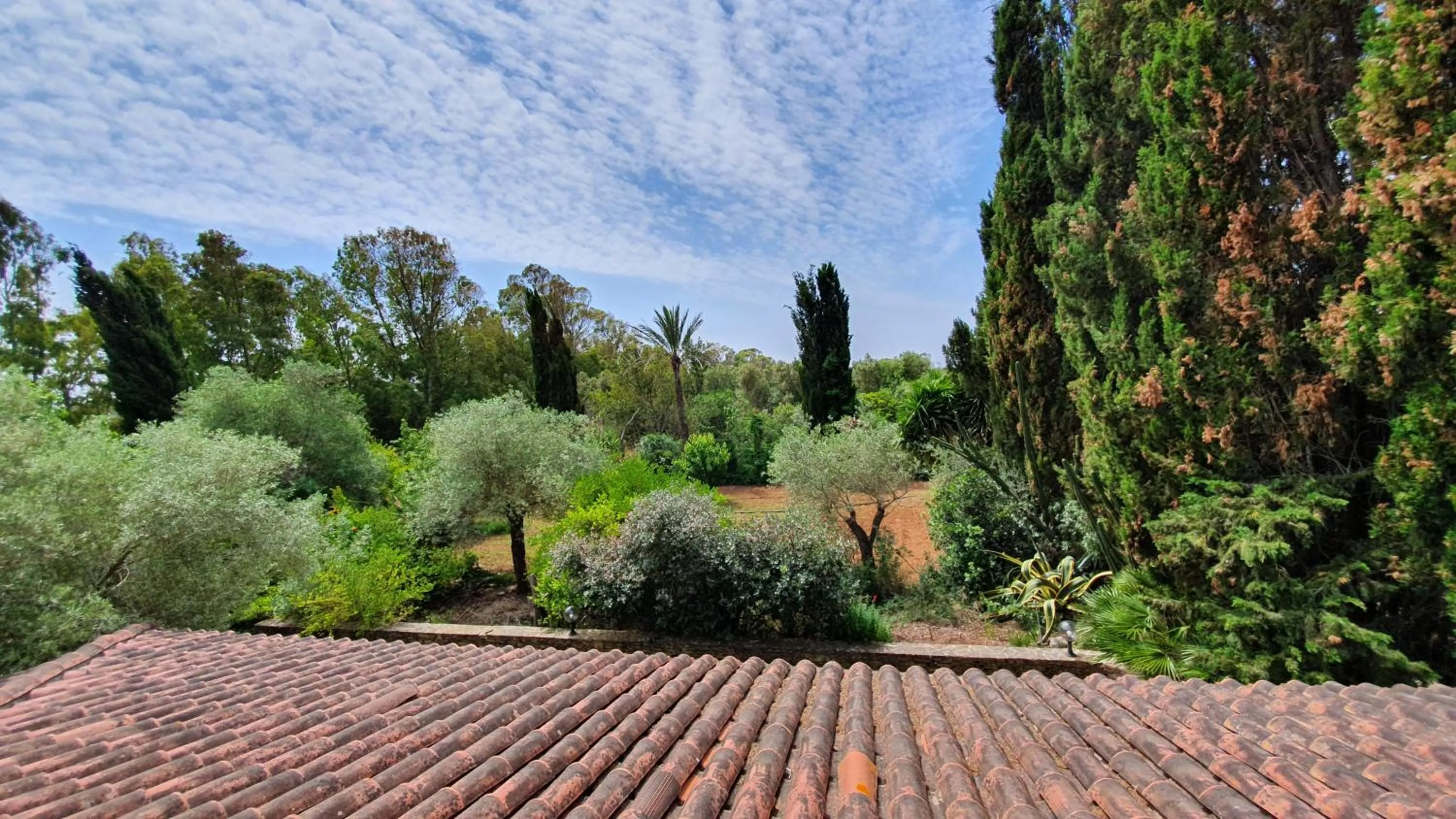 Natural landscape in Villa Canu