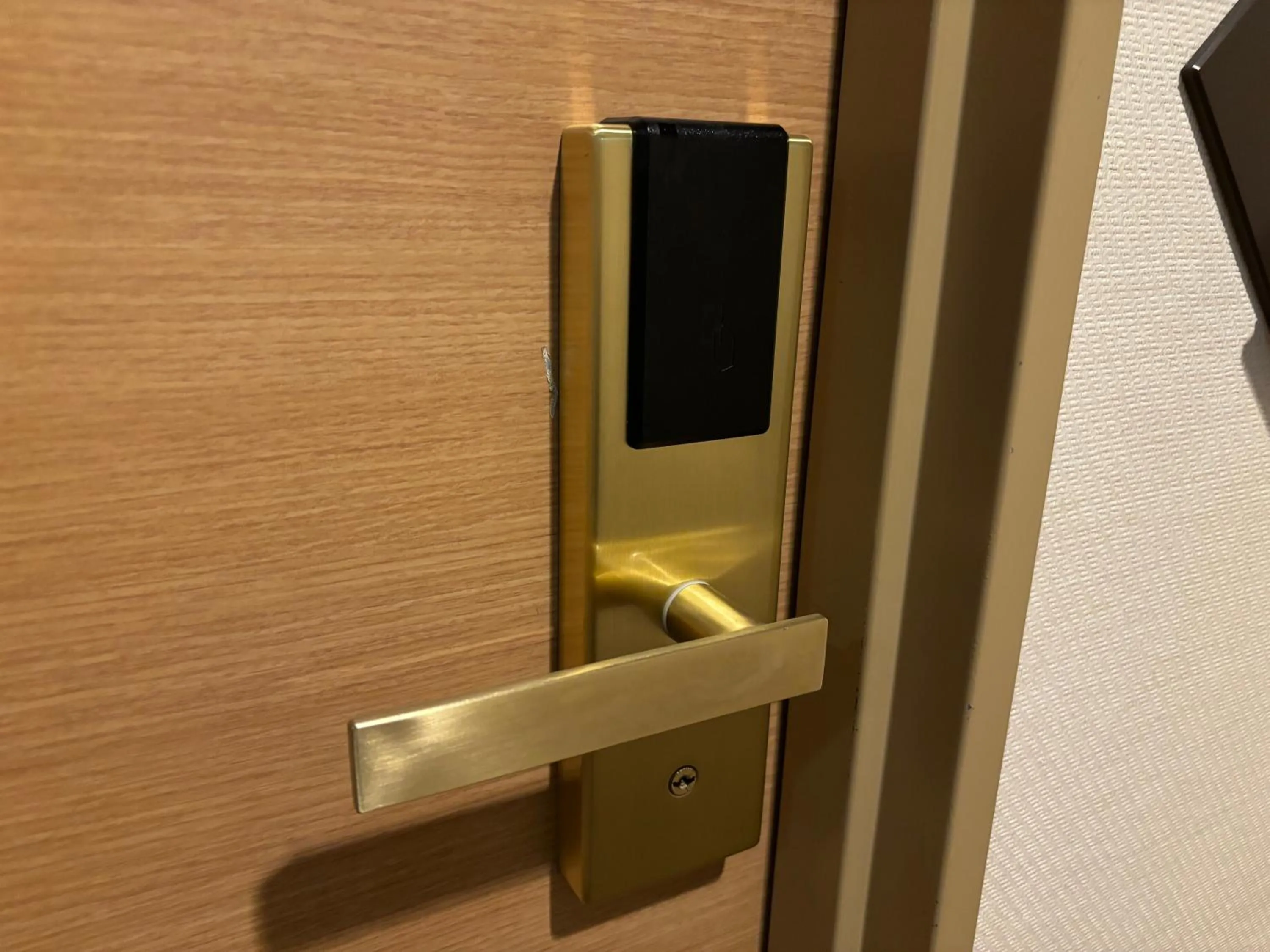 Area and facilities in Hotel Sunflex Kagoshima