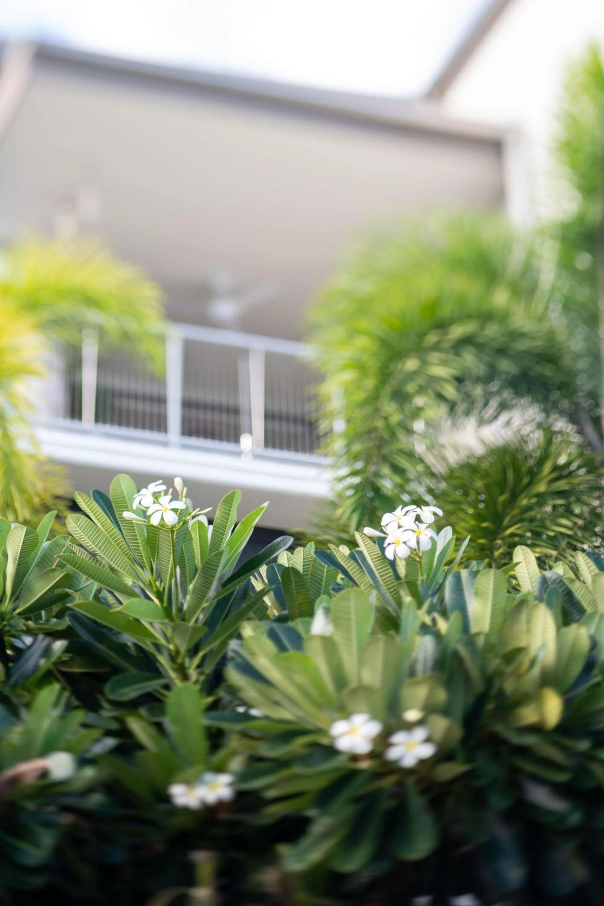 Garden in Grand Mercure Apartments Magnetic Island