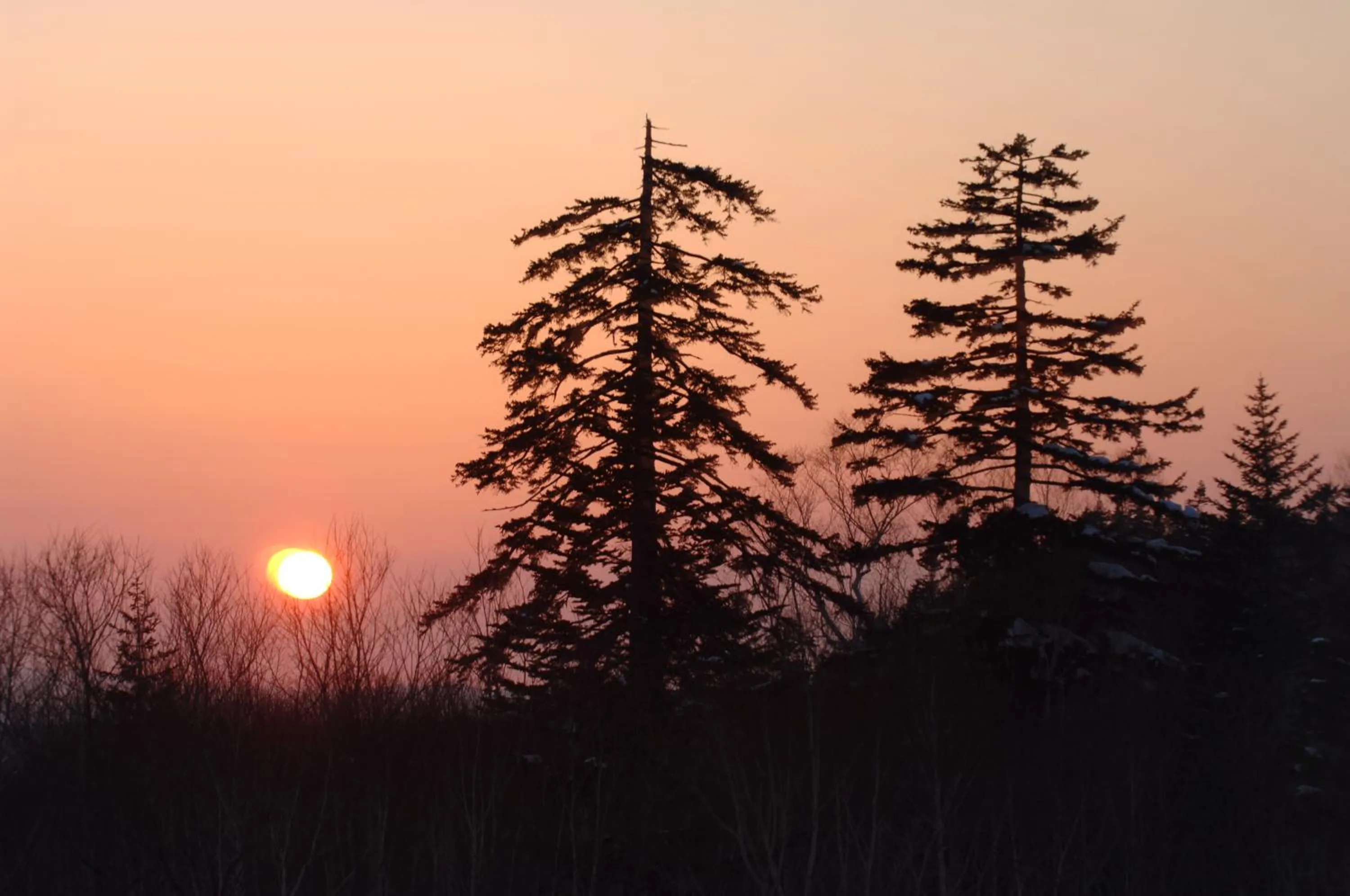 Natural landscape in La Vista Daisetsuzan