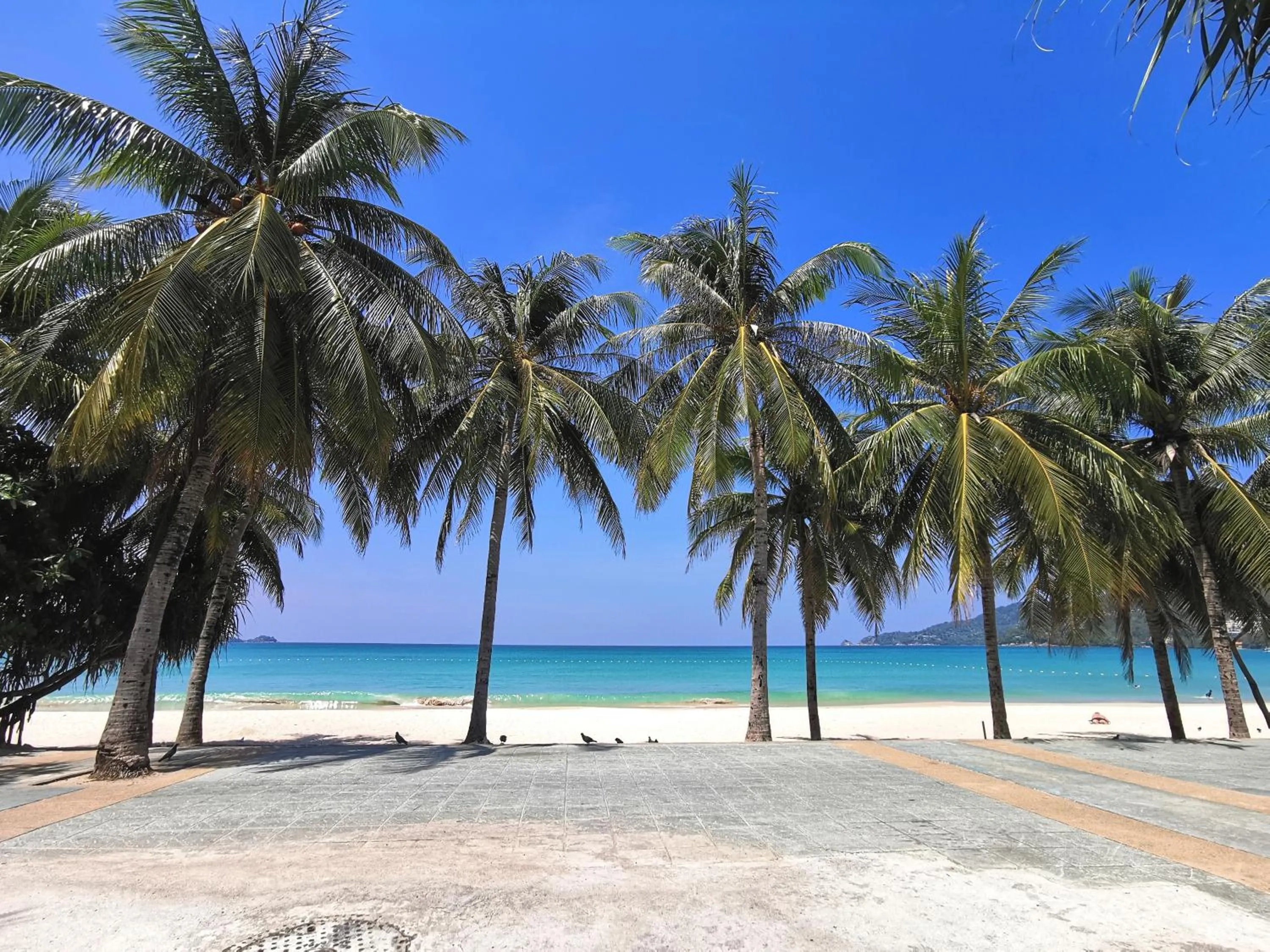 Nearby landmark in Patong Princess