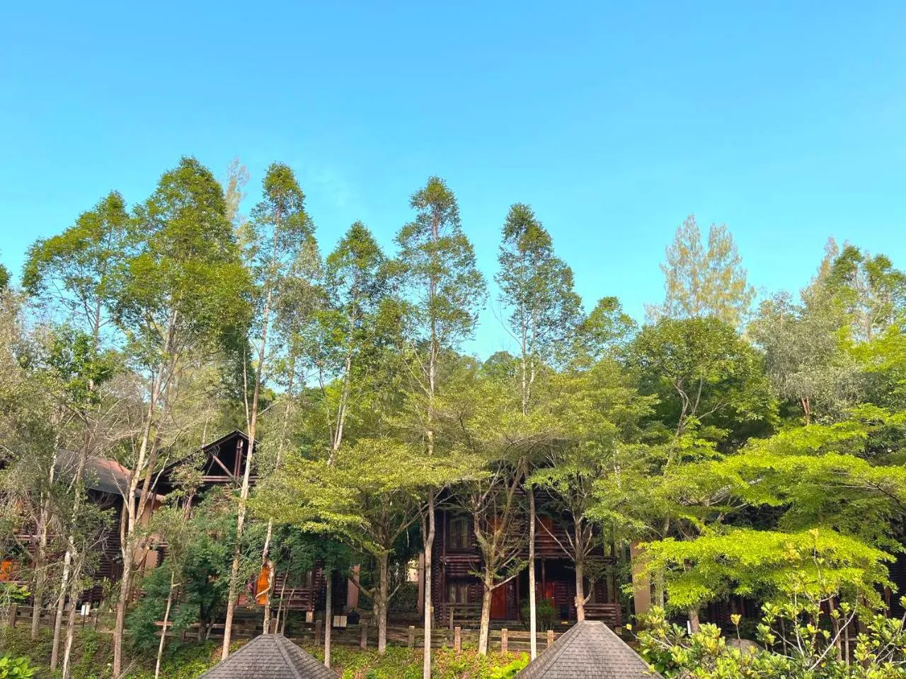 Natural landscape in Philea Resort & Spa