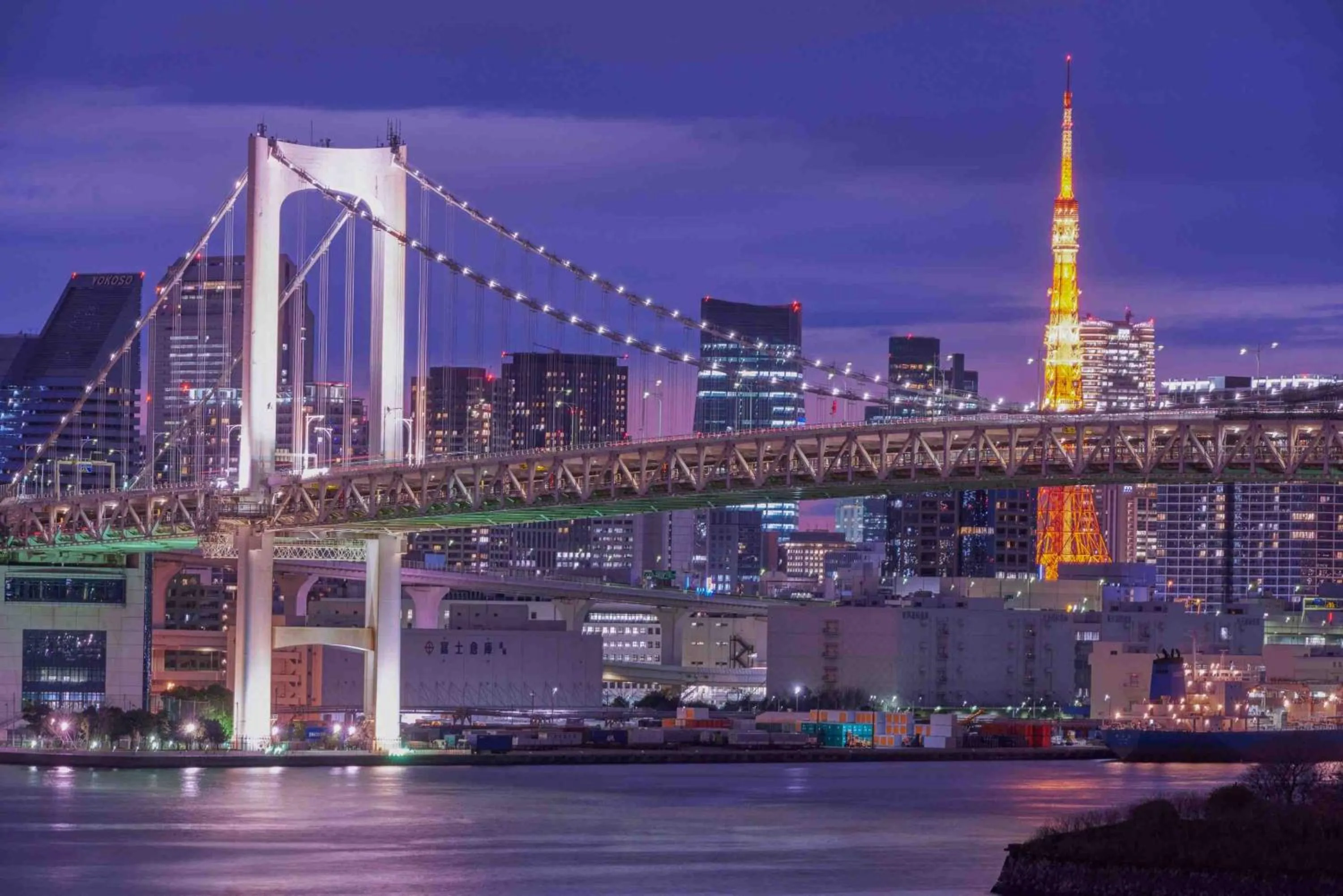 Twin Executive Terrace Suite - Non-Smoking - 120sqm - Terrace with Whirlpool in Hilton Tokyo Odaiba