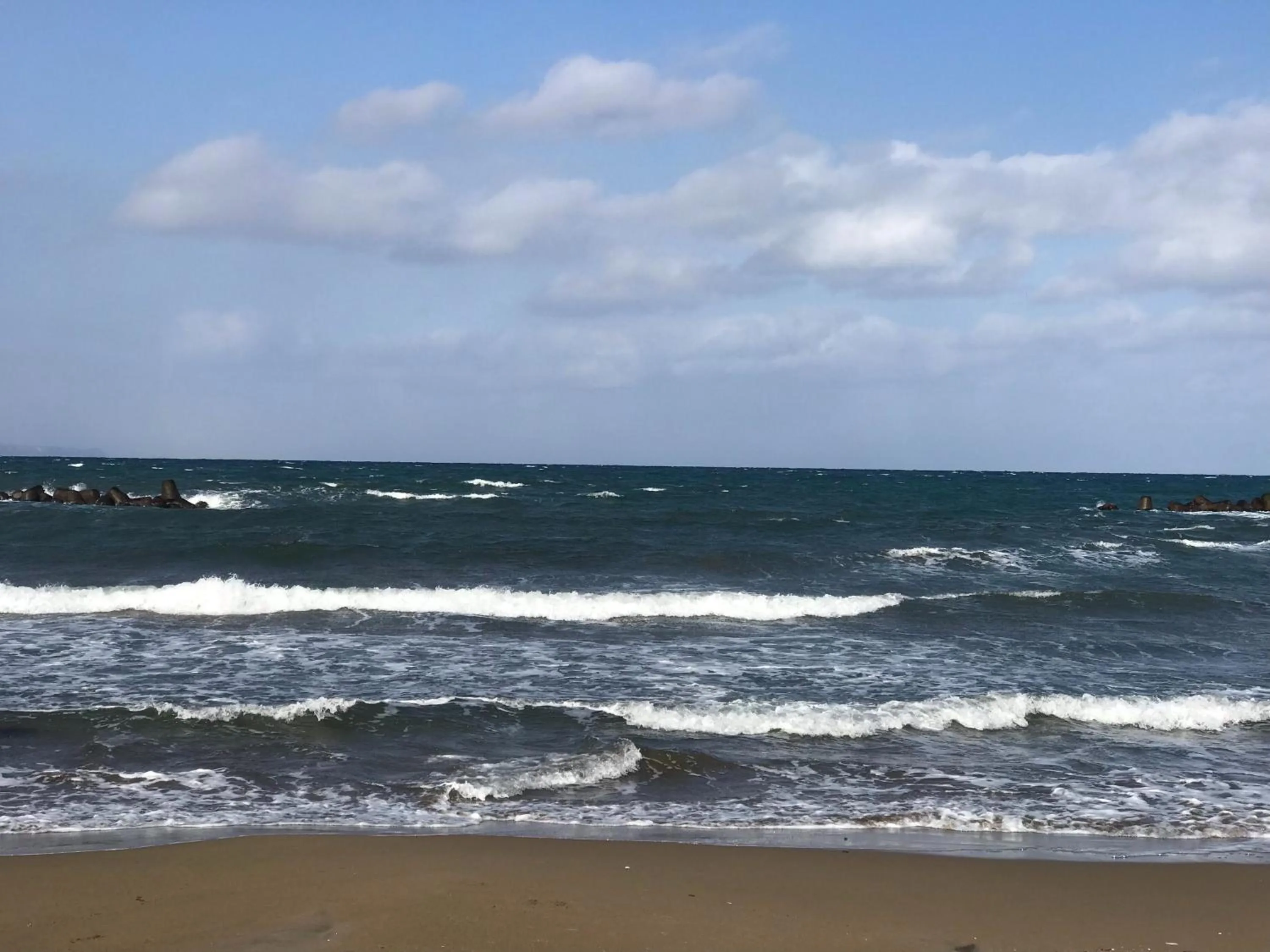 Off site in Sakura Garden