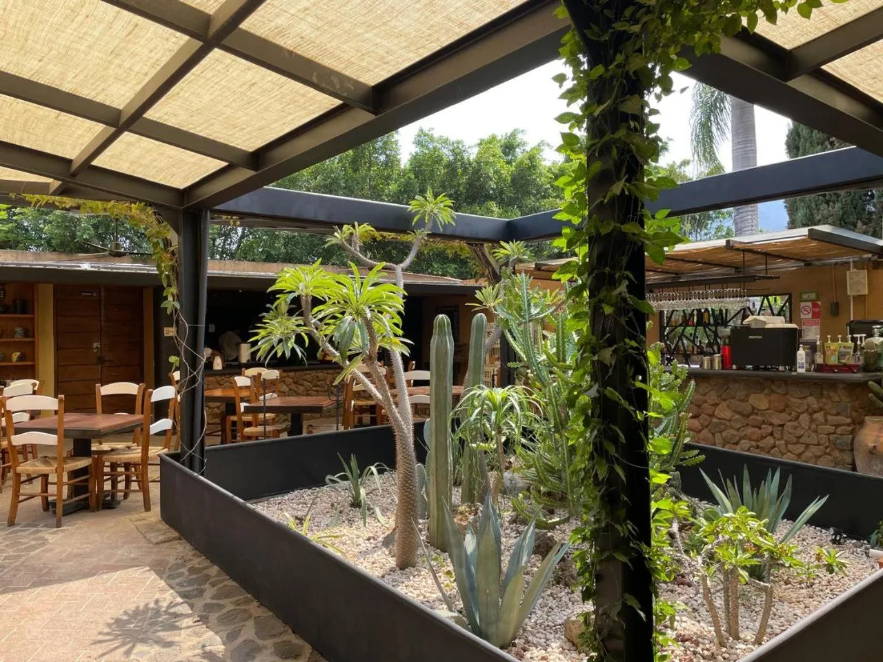 Restaurant/places to eat in Quinta Ascensión Hotel Boutique Only Adults