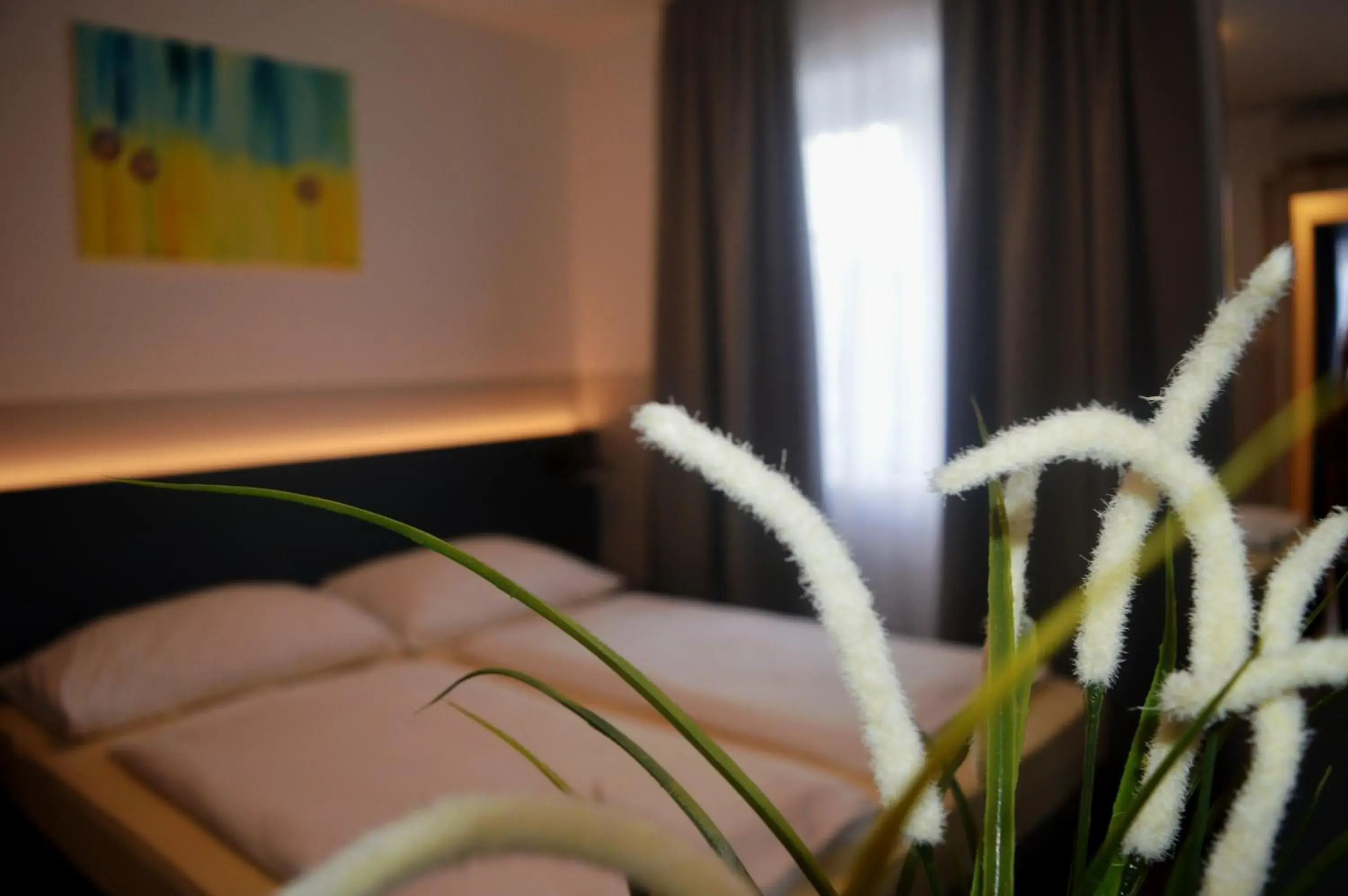 Double Room with Shared Bathroom - single occupancy in Pension Elisabeth - Rooms & Apartments Double Room with Shared Bathroom - single occupancy in Pension Elisabeth - Rooms & Apartments