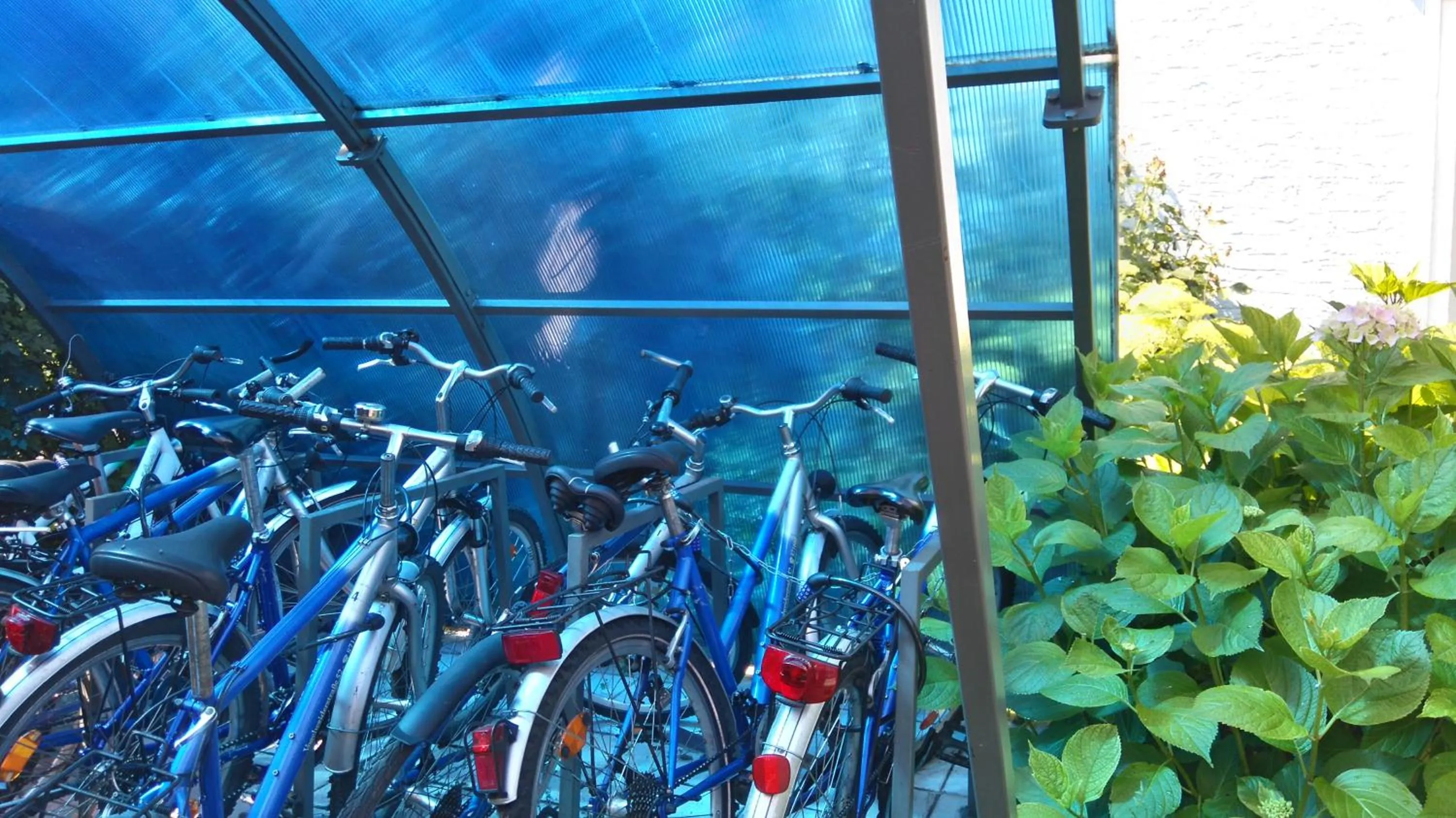 Cycling in Pension Elisabeth - Rooms & Apartments