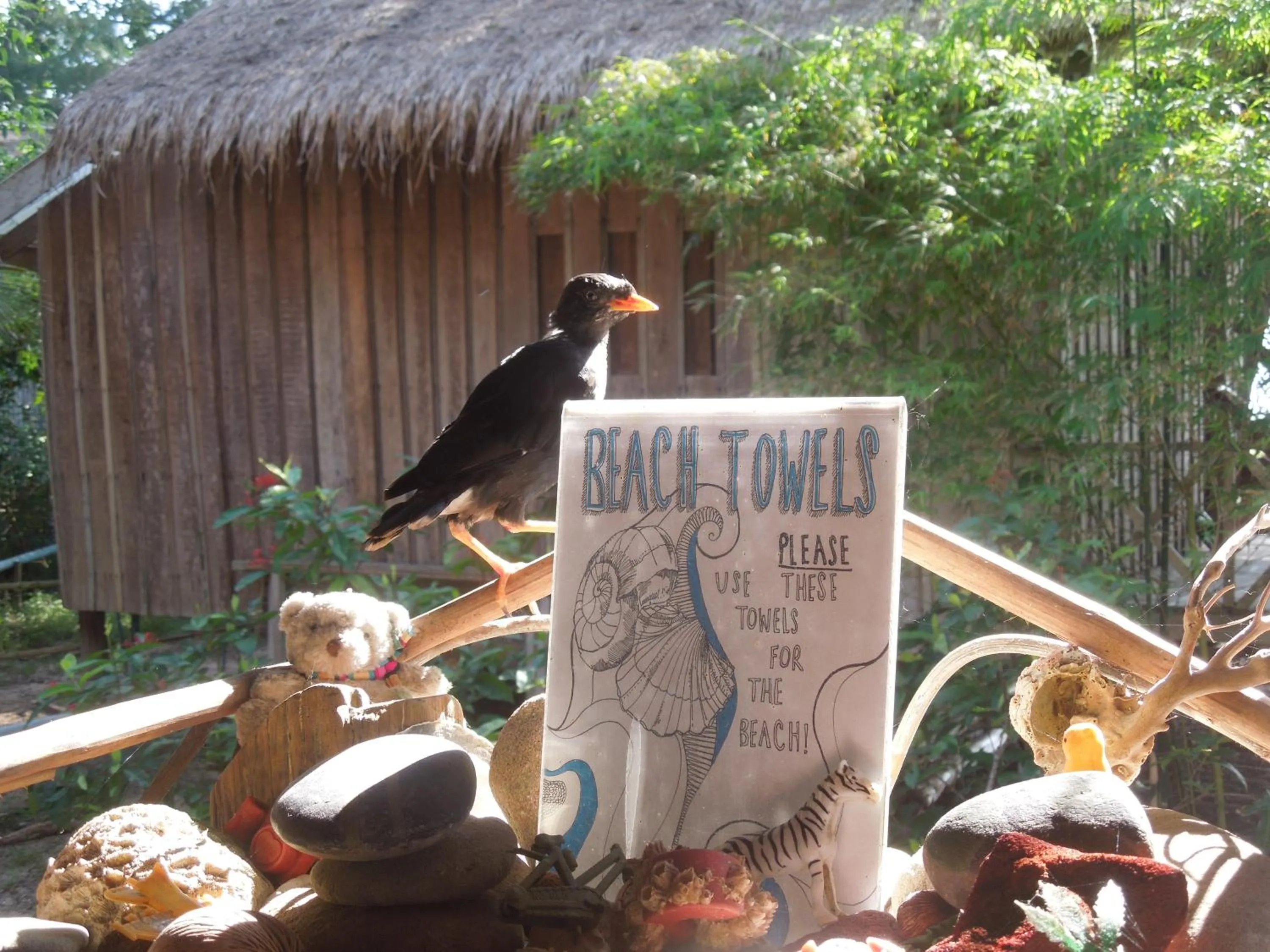 Garden view in Koh Thmei Resort