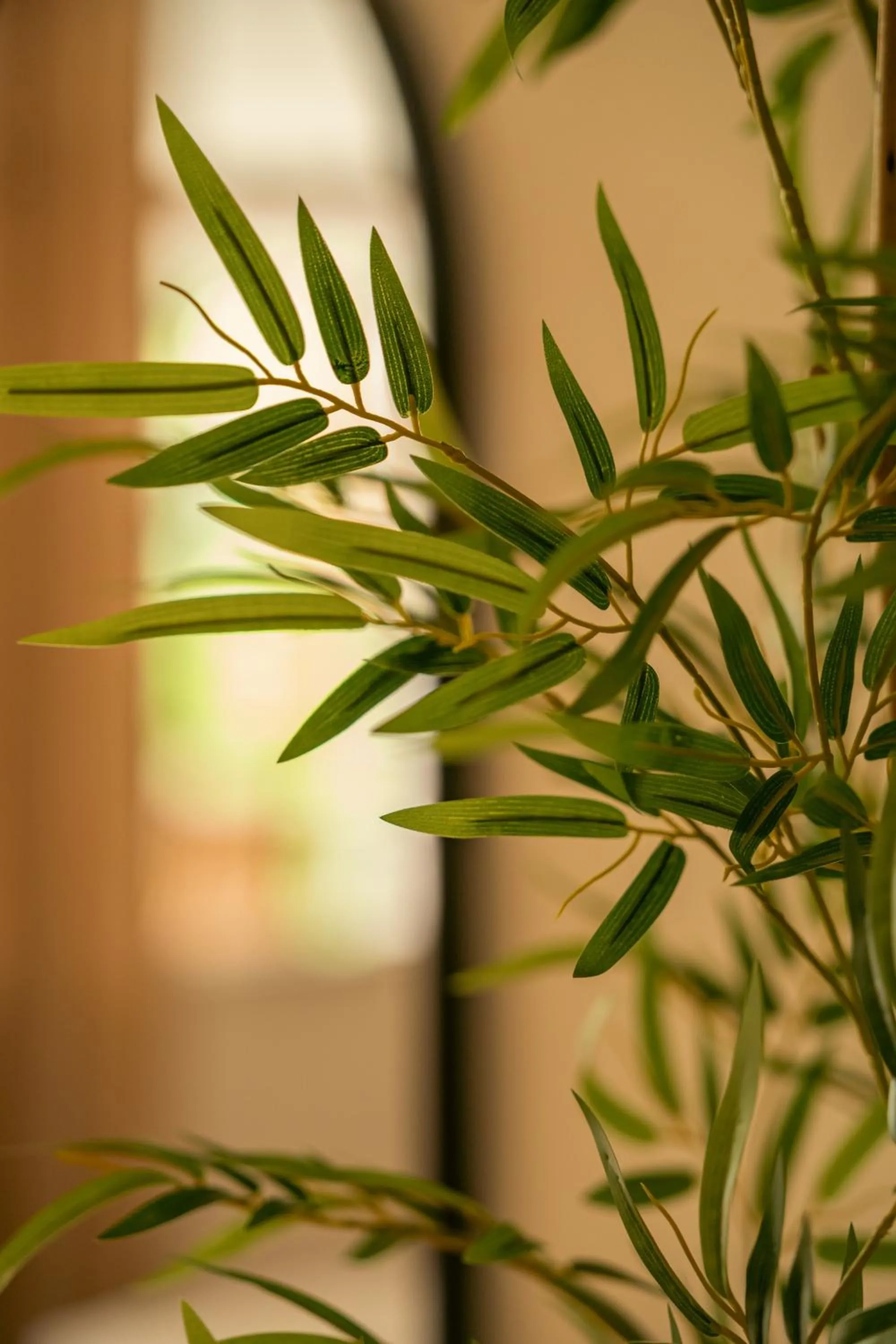 Beau Vallon Bungalows