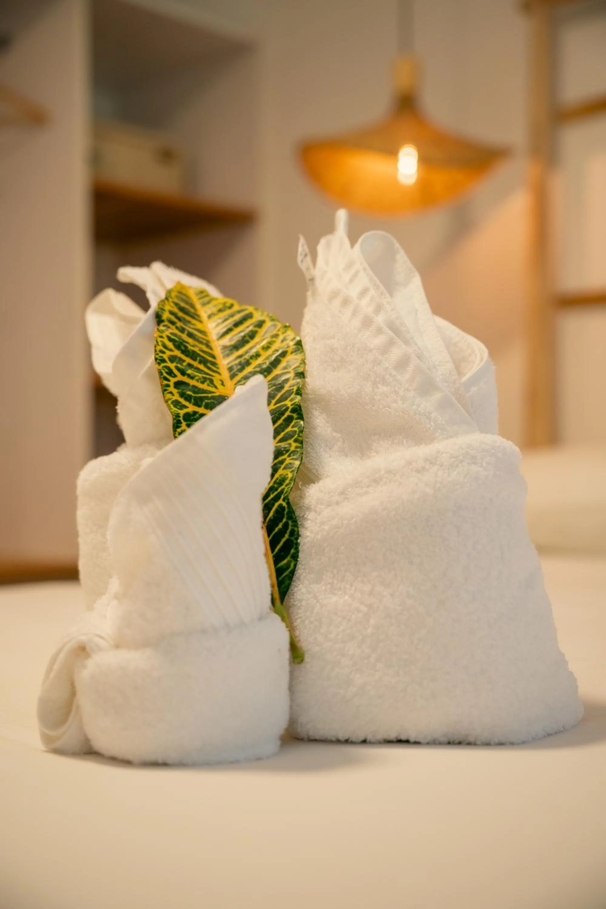 Bed in Beau Vallon Bungalows