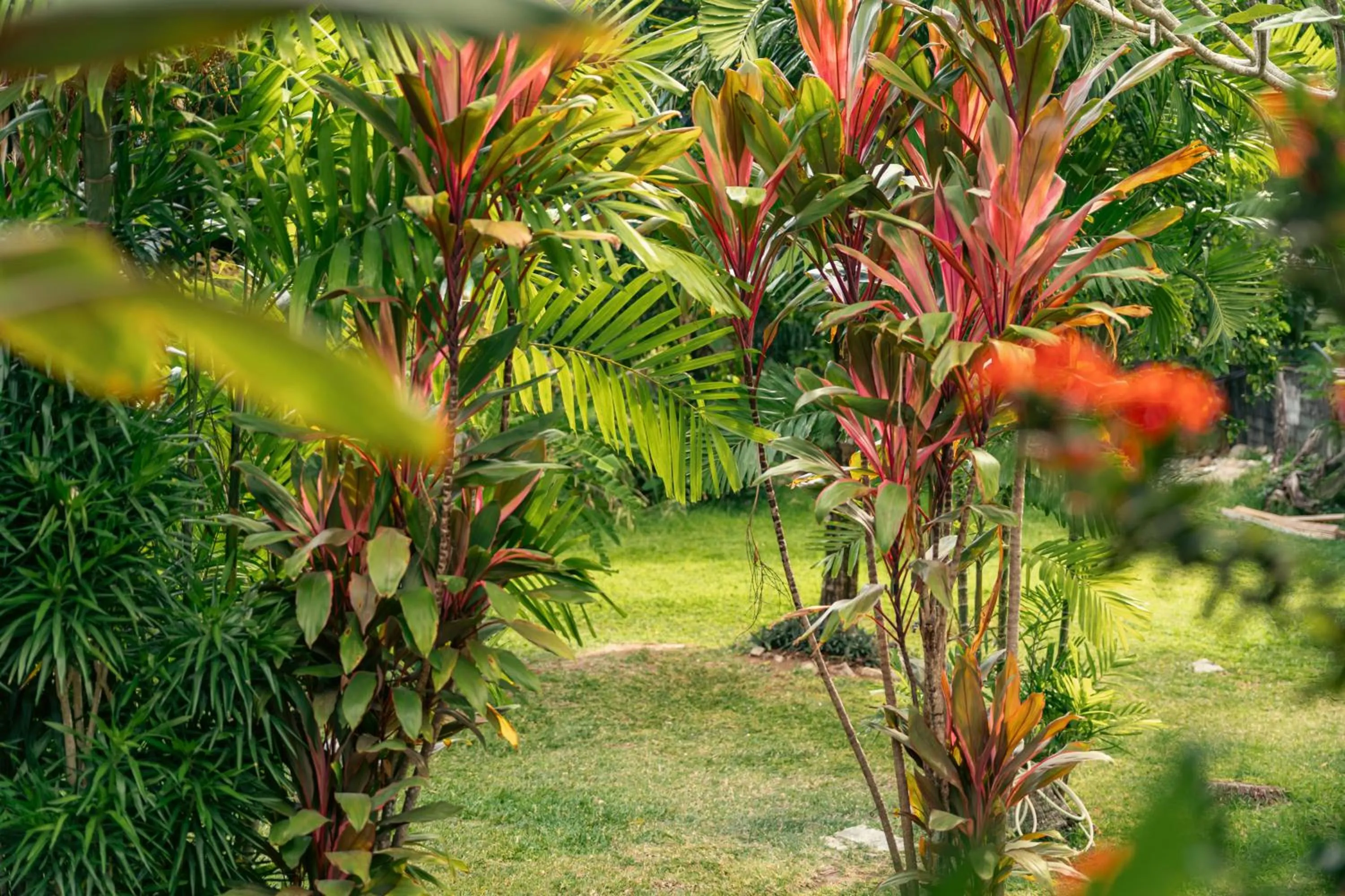Beau Vallon Bungalows