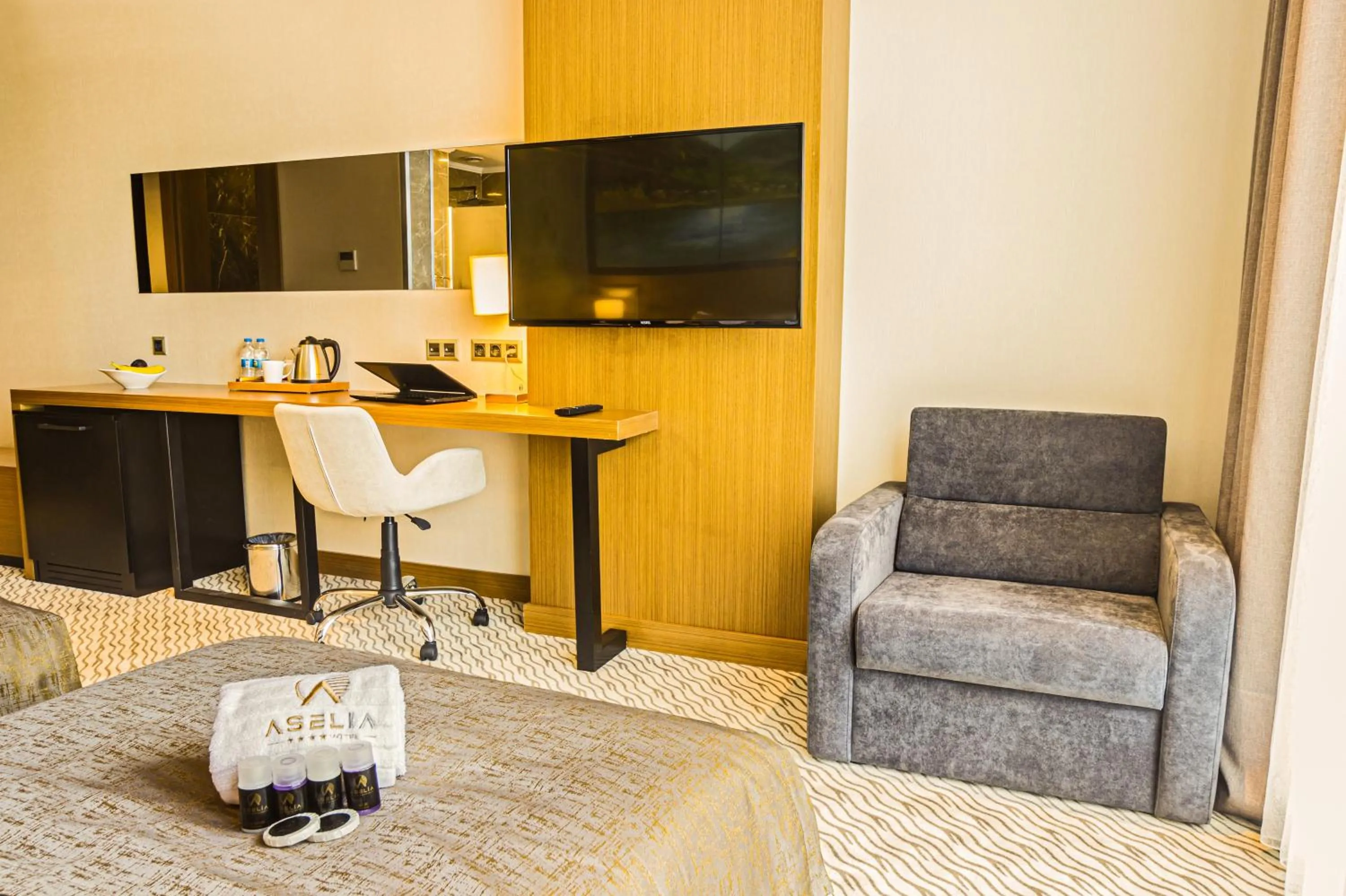 TV and multimedia in Aselia Hotel Trabzon