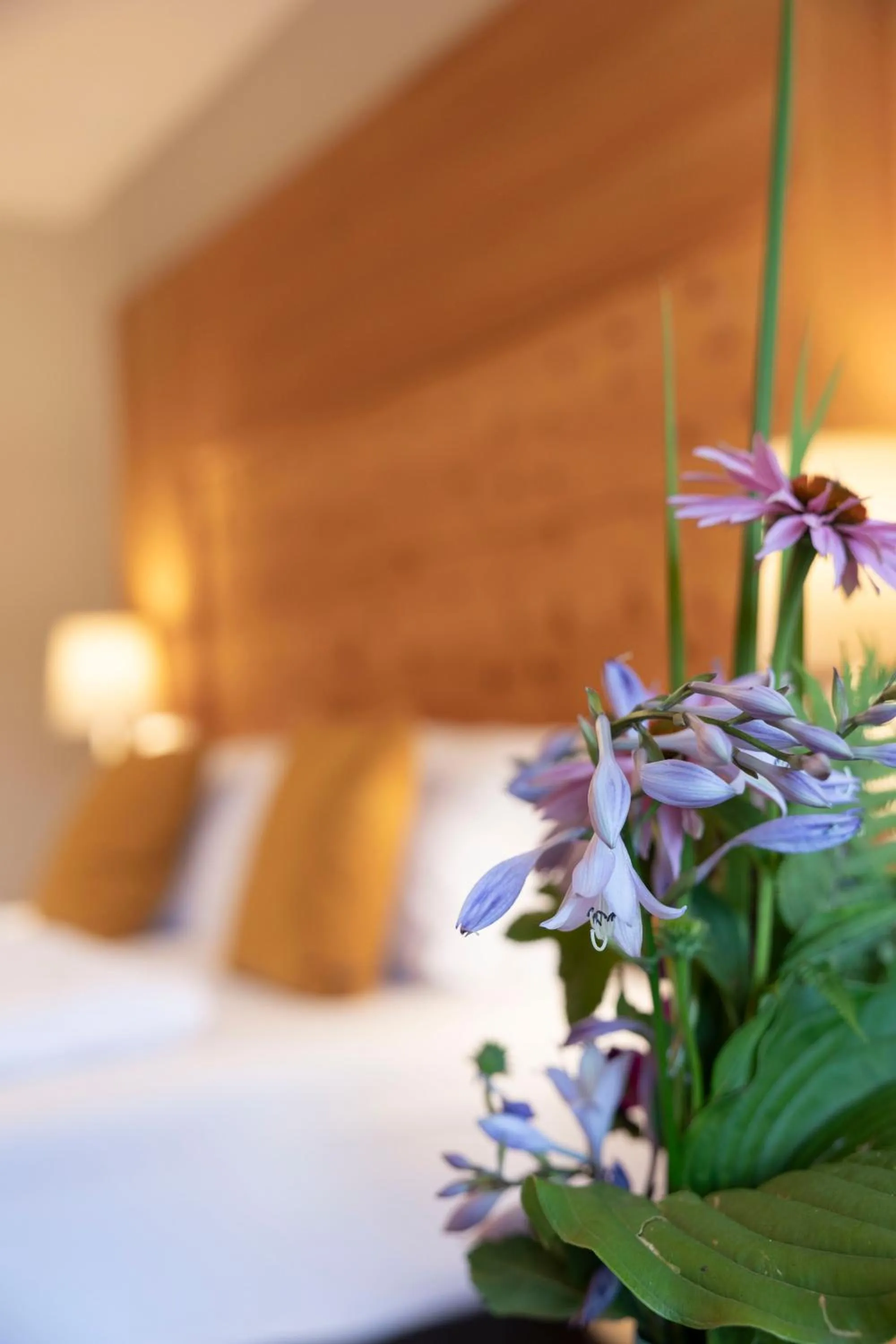 Bed in Apart-Elisabeth