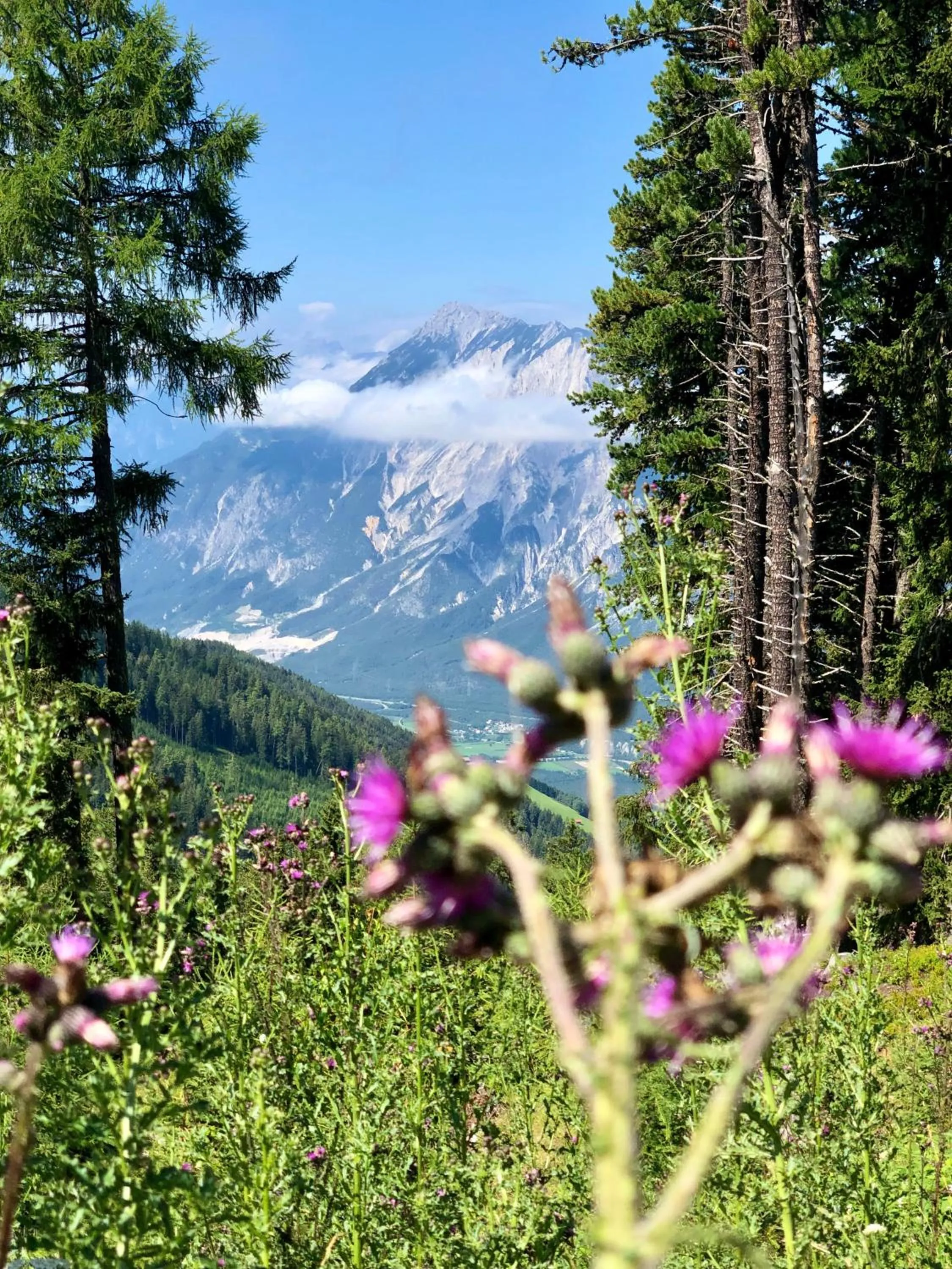 Natural landscape in Apart-Elisabeth