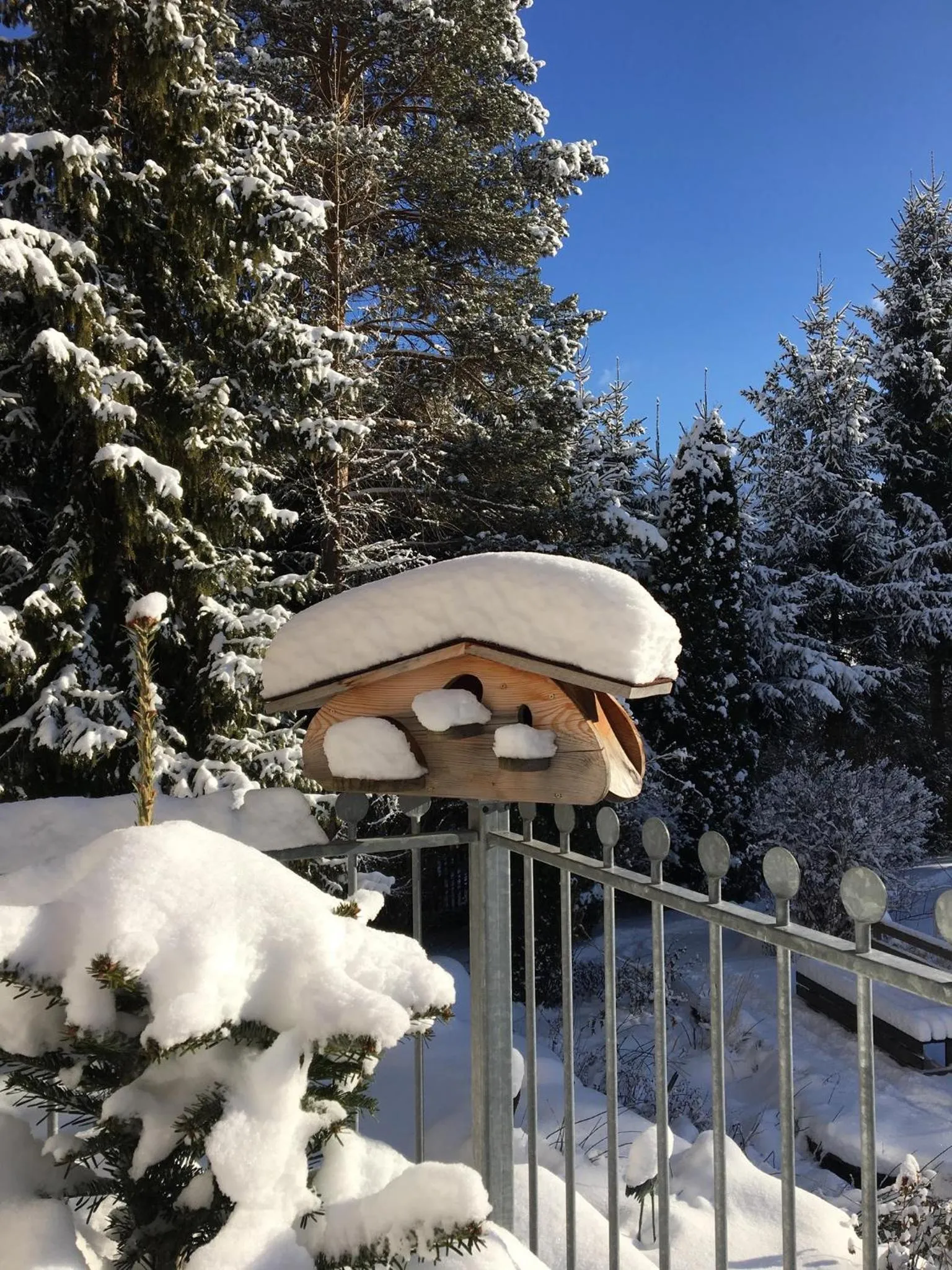 Day in Apart-Elisabeth