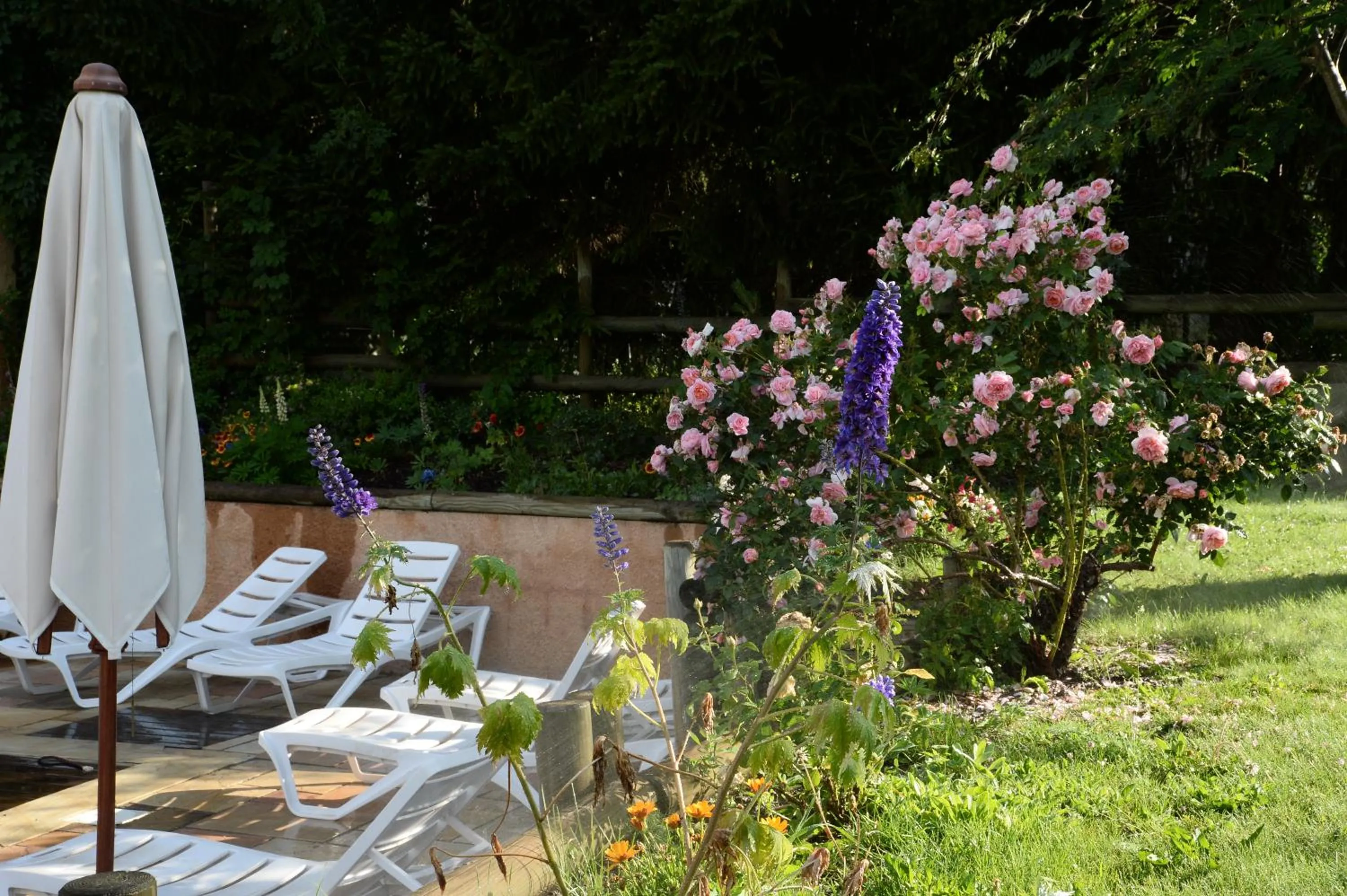 Garden view in Alliey & Spa Piscine Appart-hôtel Serre chevalier