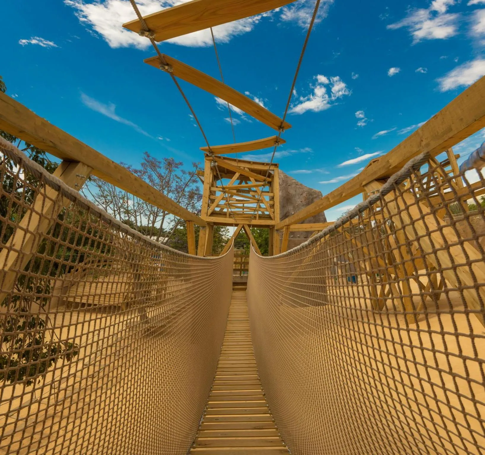 Entertainment in Magic Robin Hood