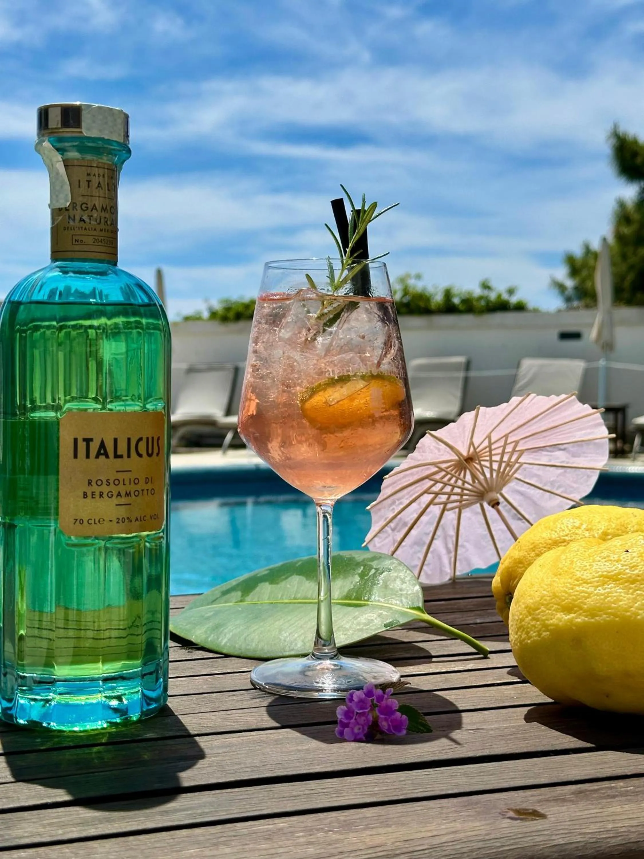 Restaurant/places to eat in Hotel Della Piccola Marina