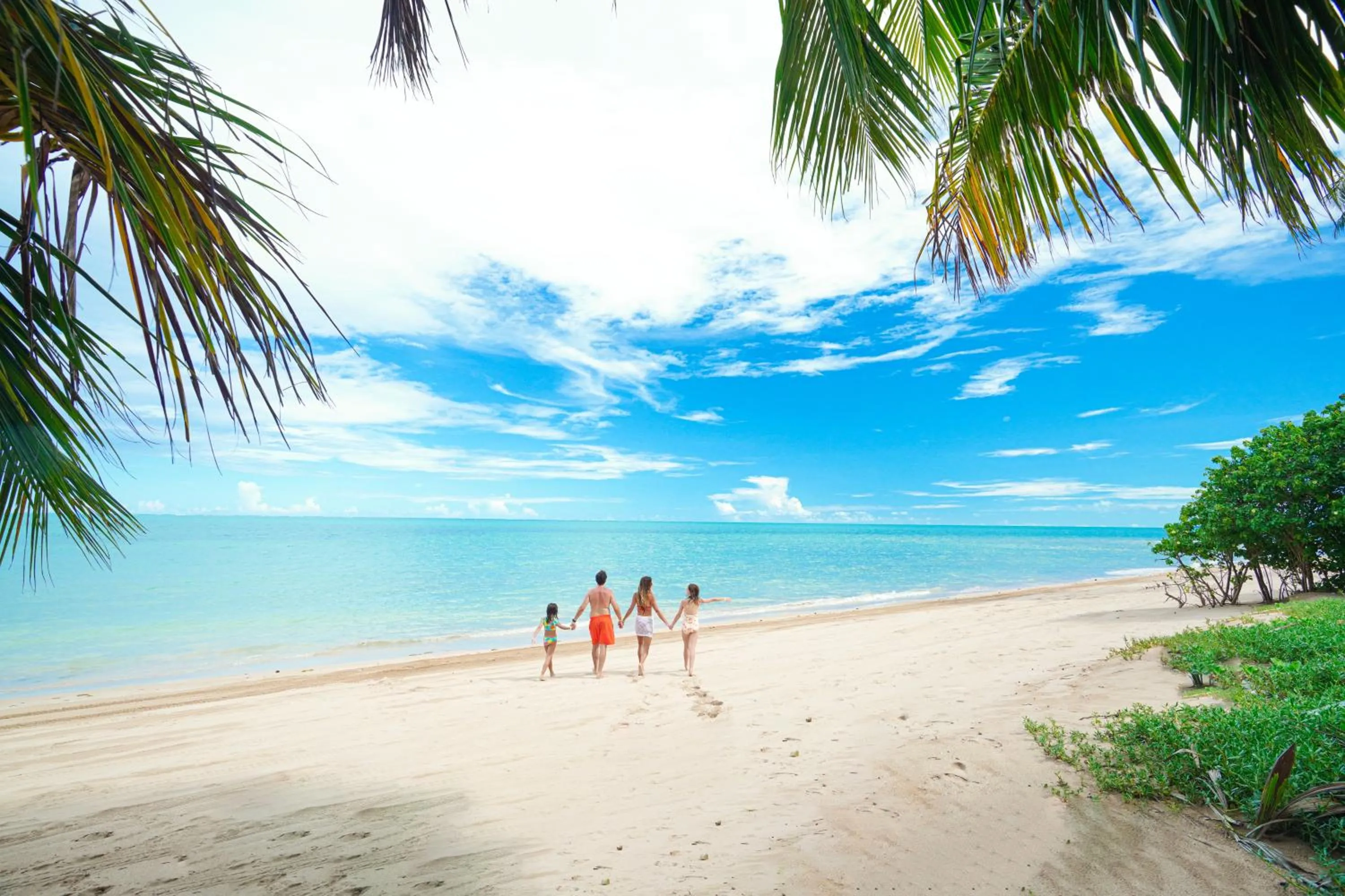 Natural landscape in Salinas Maragogi All Inclusive Resort