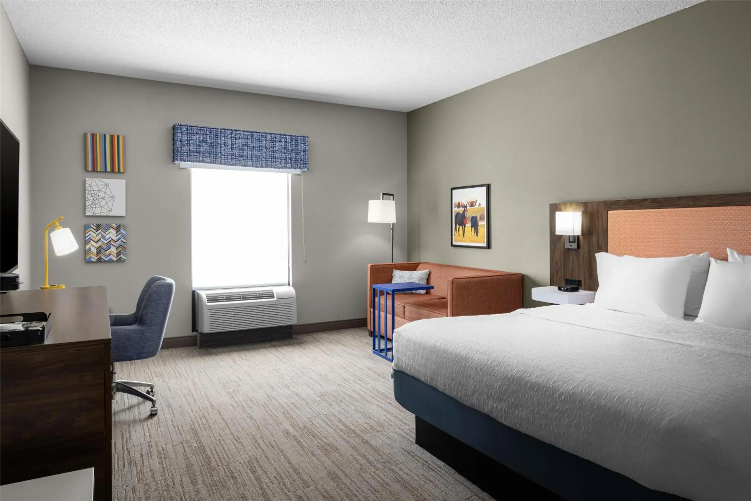 King Studio Suite with Sofa Bed - Non-Smoking in Hampton Inn Williamsburg King Studio Suite with Sofa Bed - Non-Smoking in Hampton Inn Williamsburg