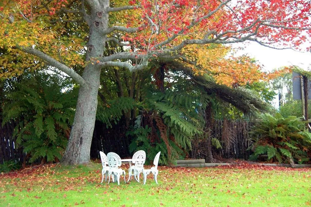 Day in Fairy Springs Motel