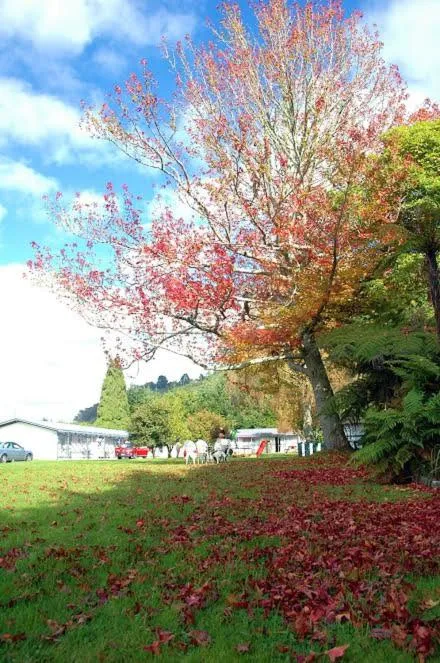 Day in Fairy Springs Motel