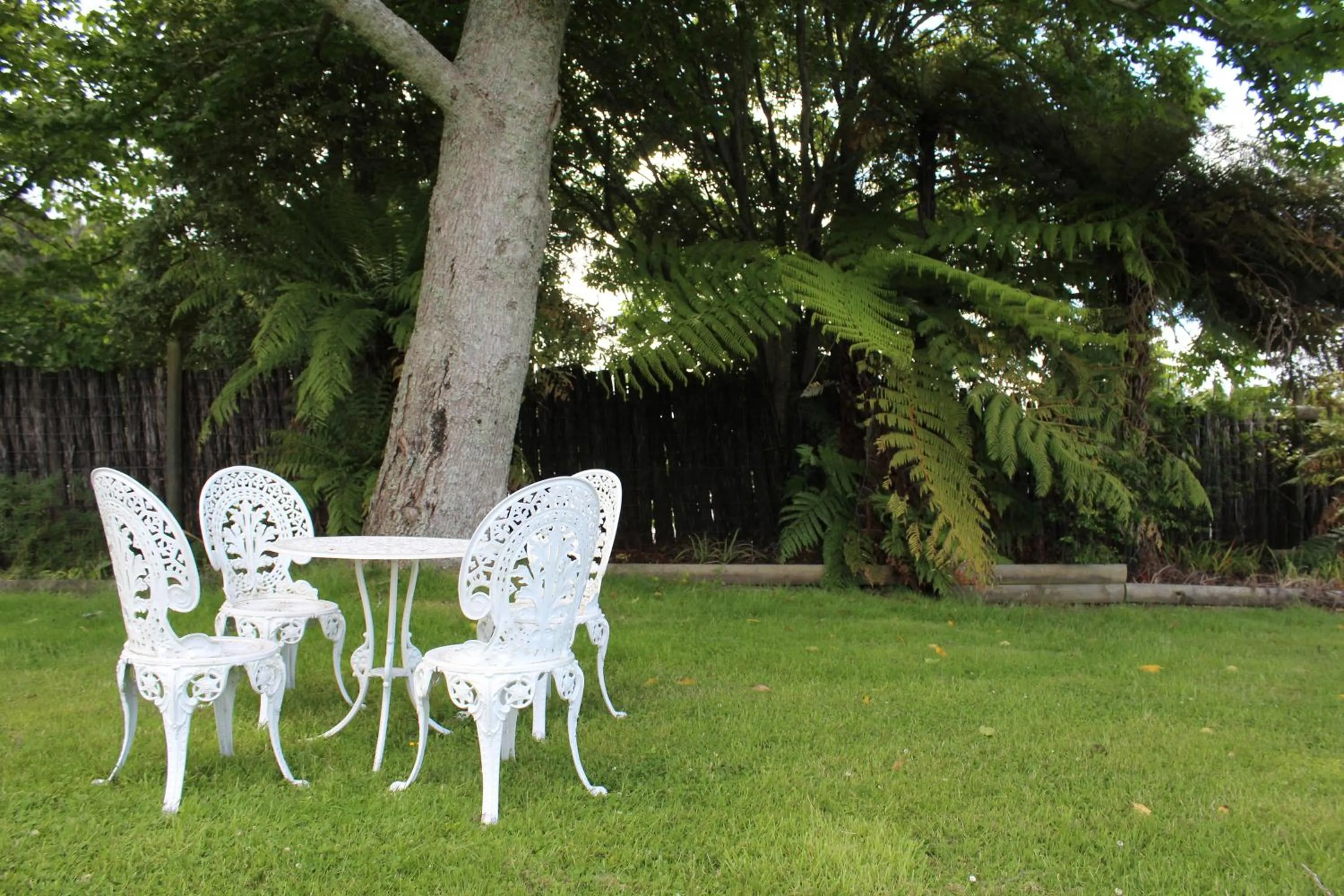 Day in Fairy Springs Motel