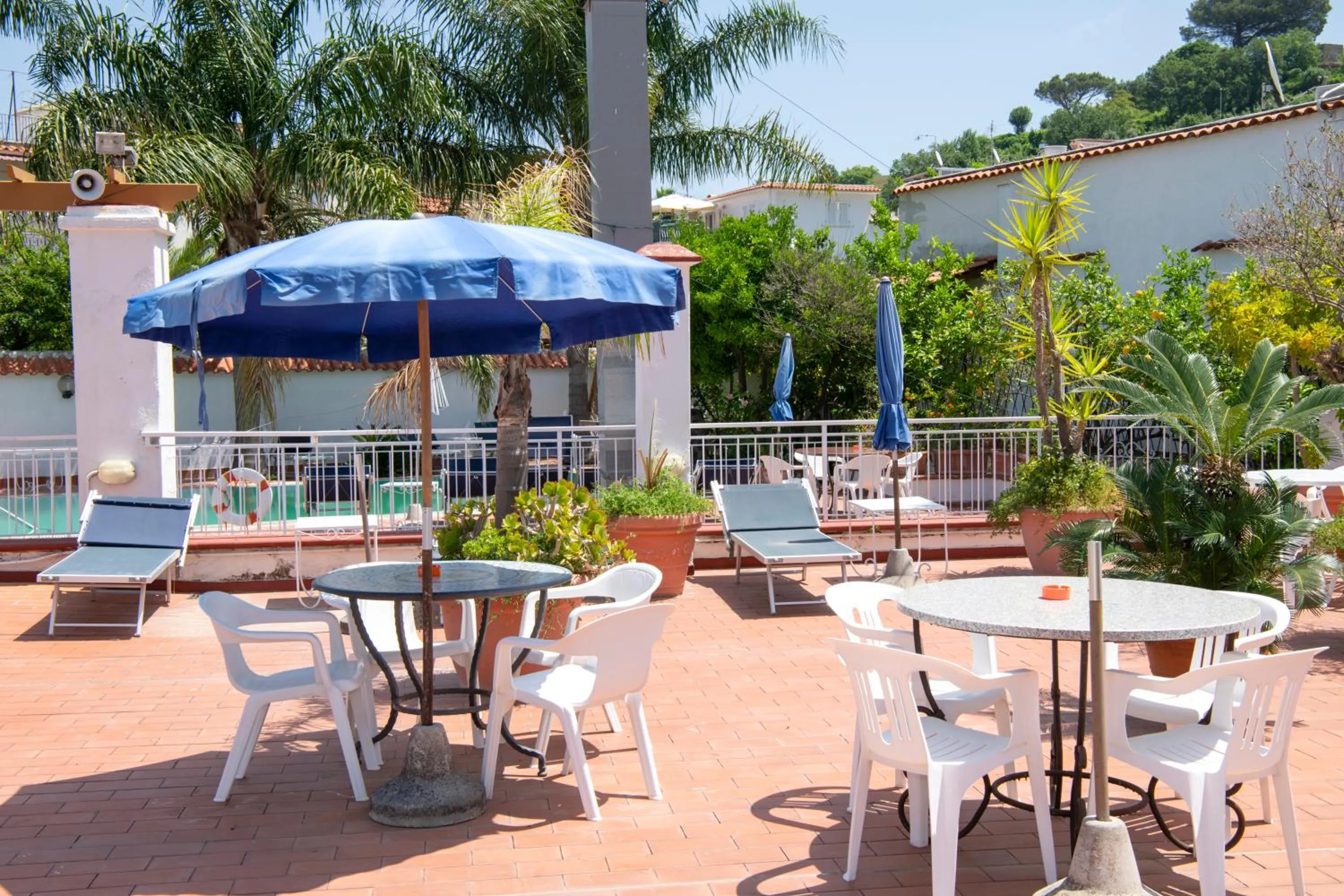 Garden in Hotel Candia