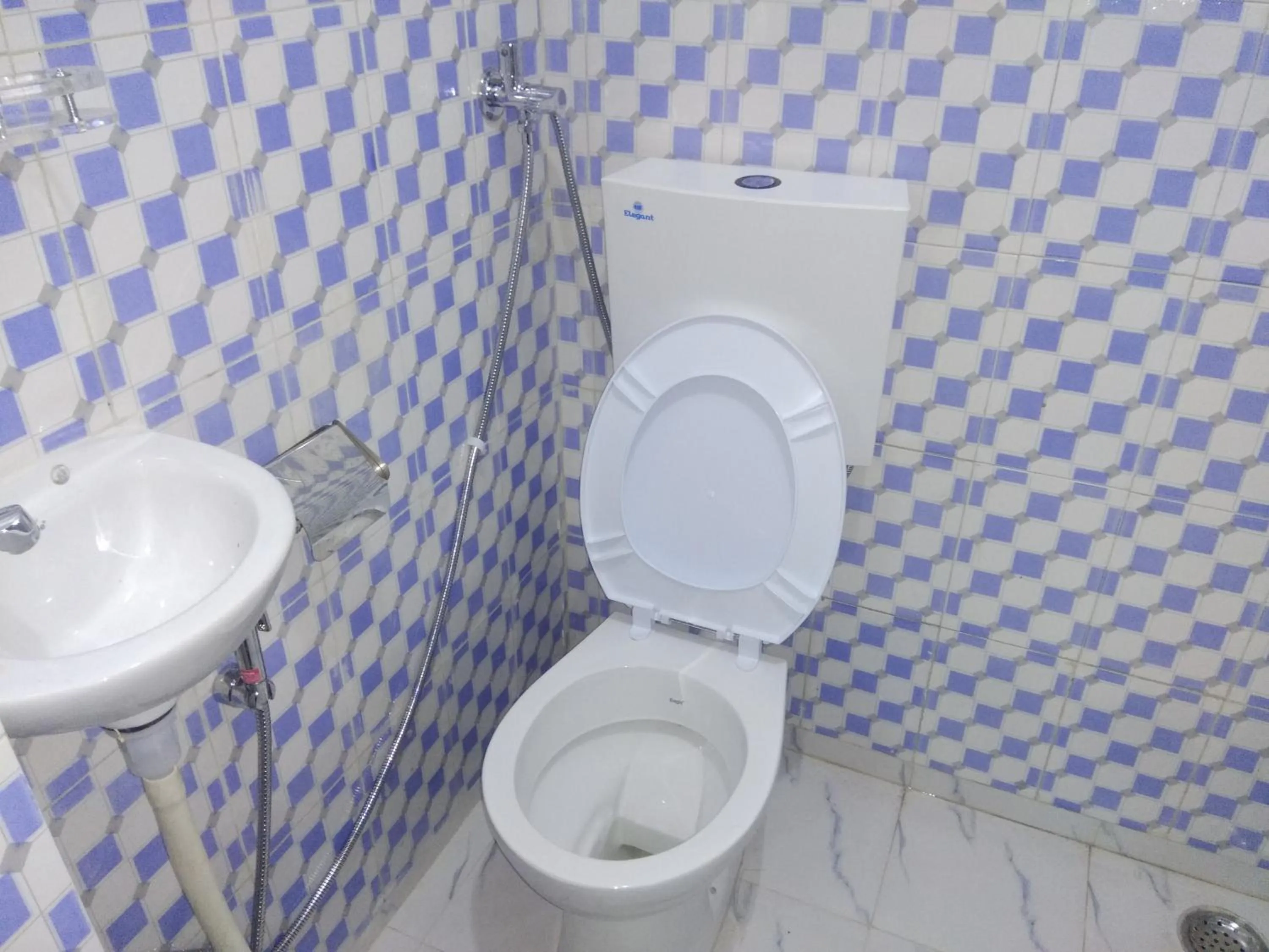 Hotel zamarrud palace