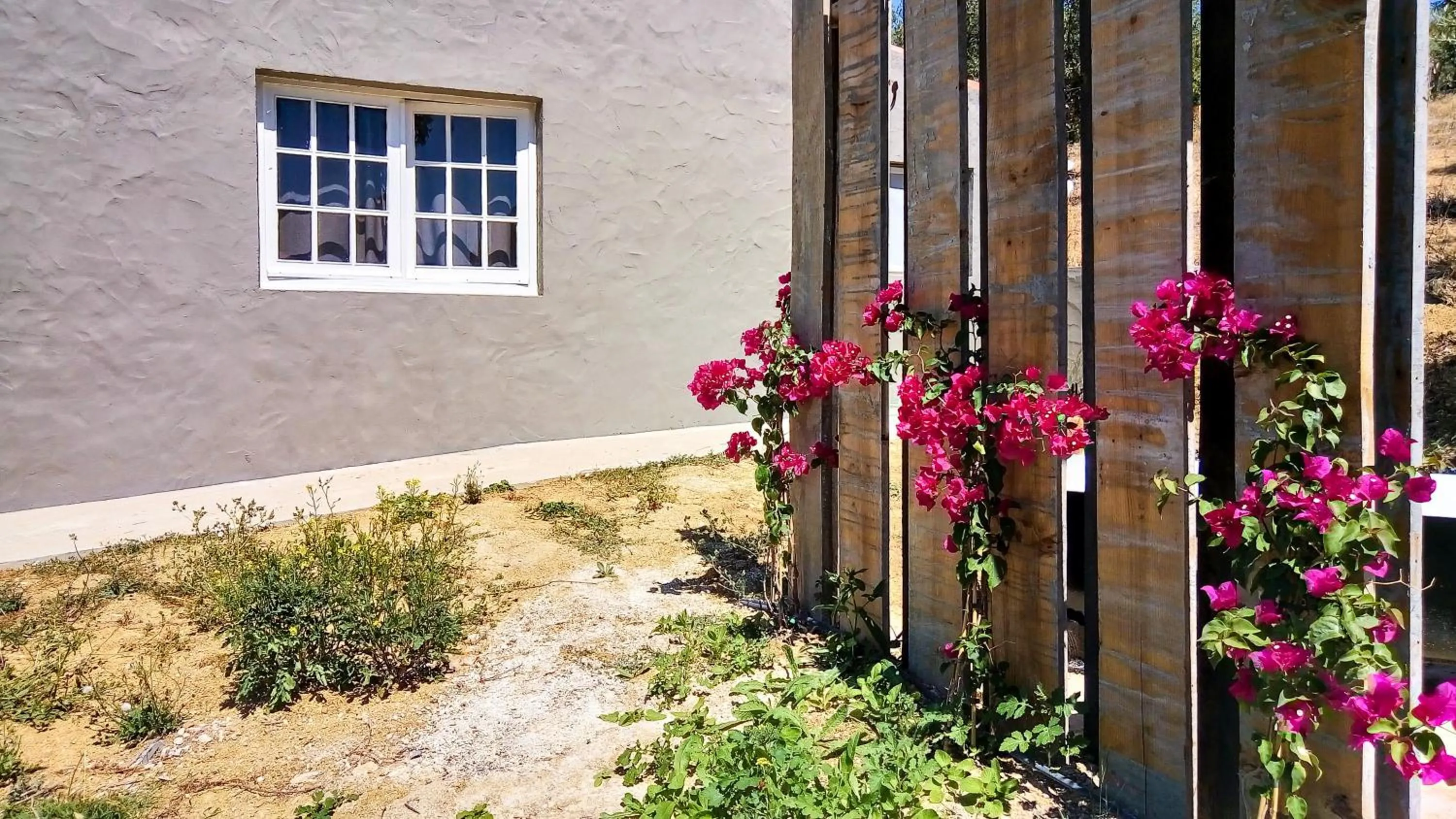 Garden in Dominio Vale Flores