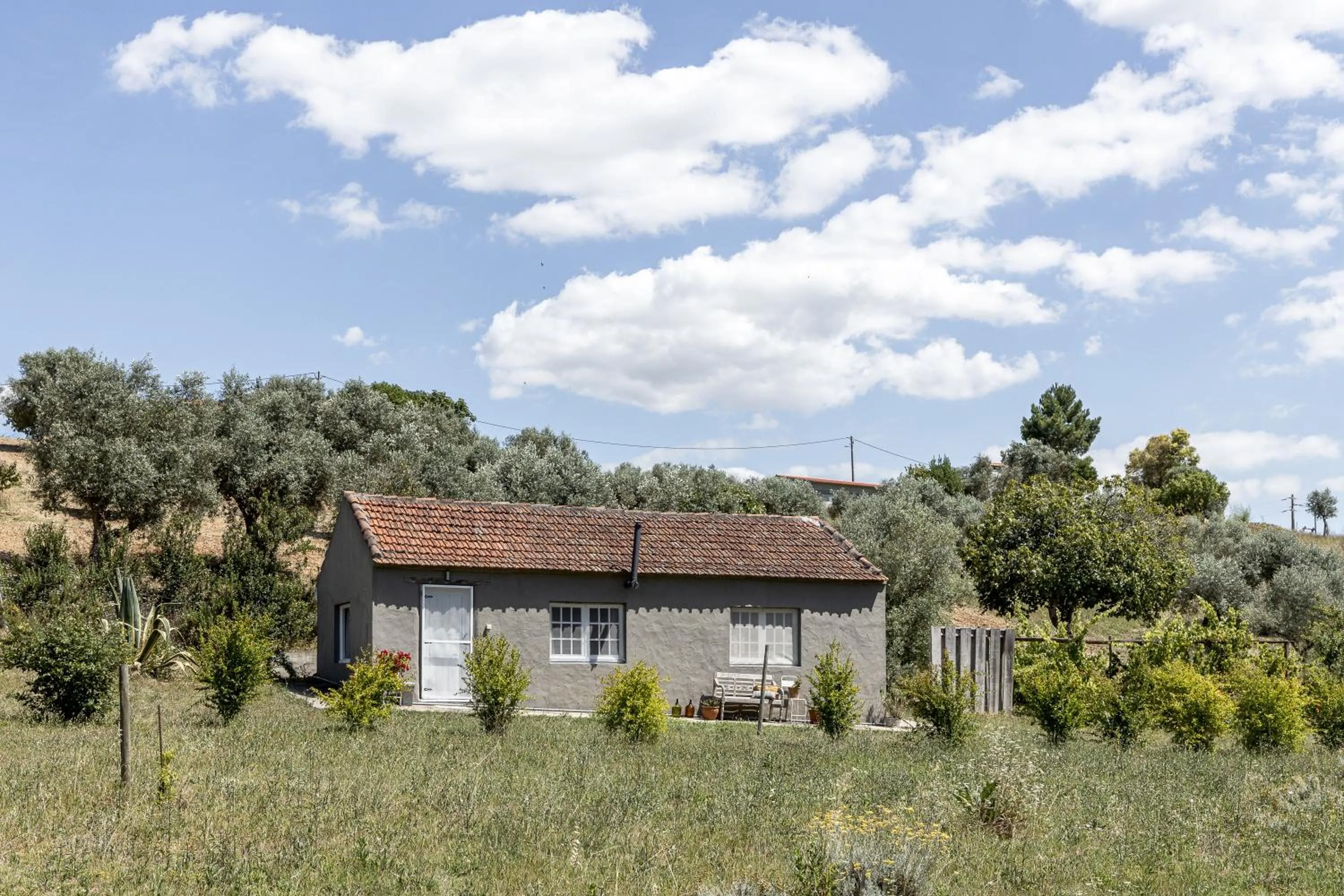 Garden in Dominio Vale Flores