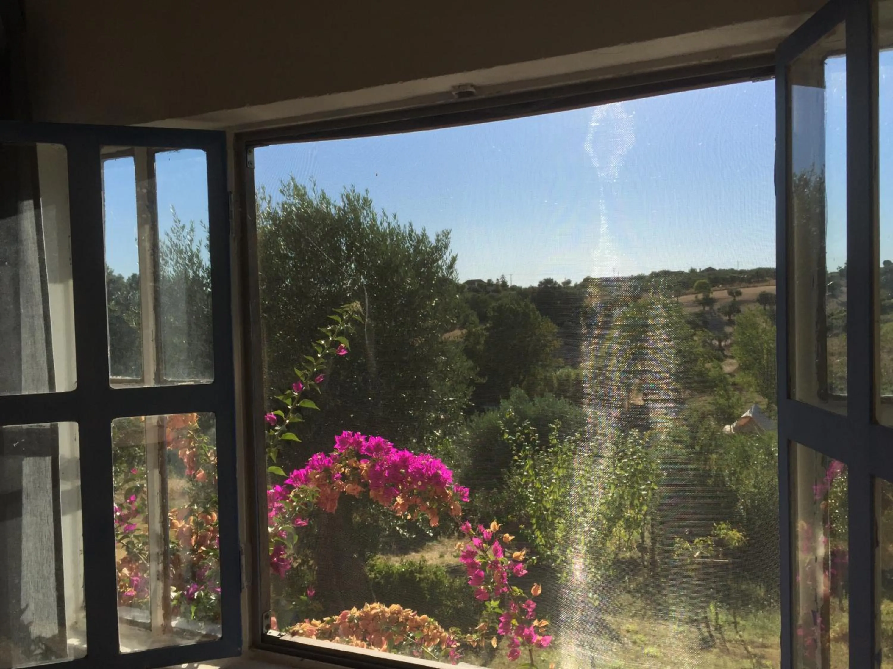 Garden view in Dominio Vale Flores