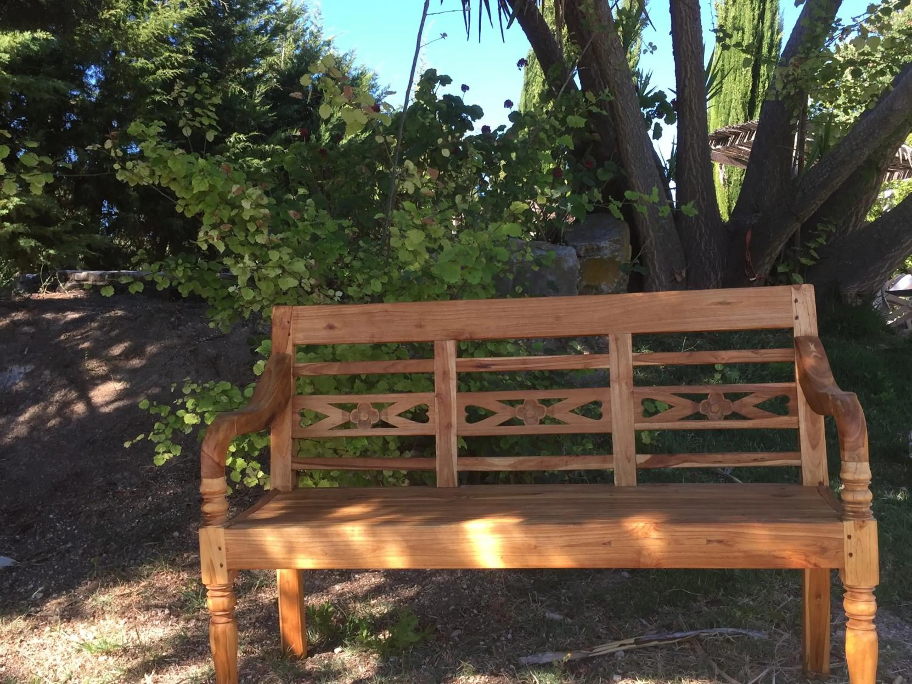 Garden in Dominio Vale Flores