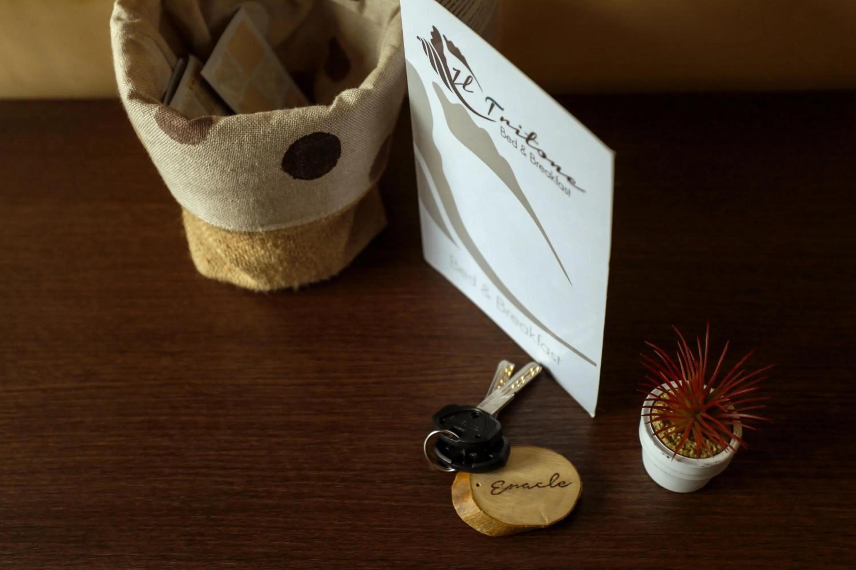 Logo/Certificate/Sign in B&B Il Tritone