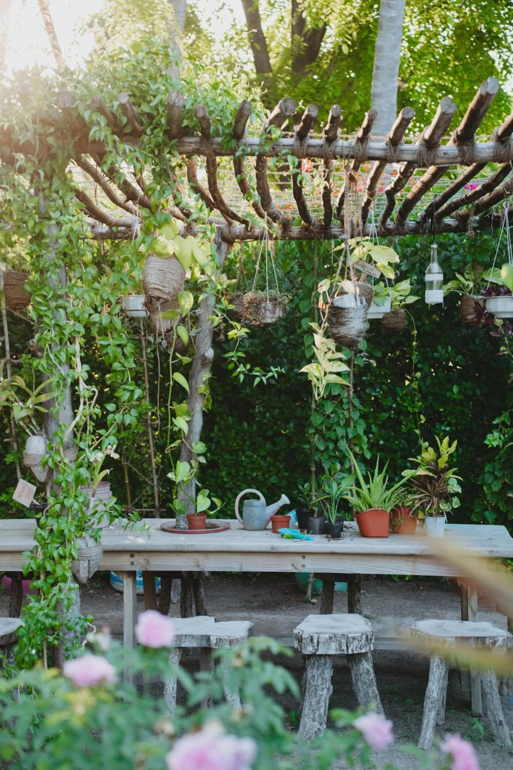 Garden in Villa Park Sun Island Resort