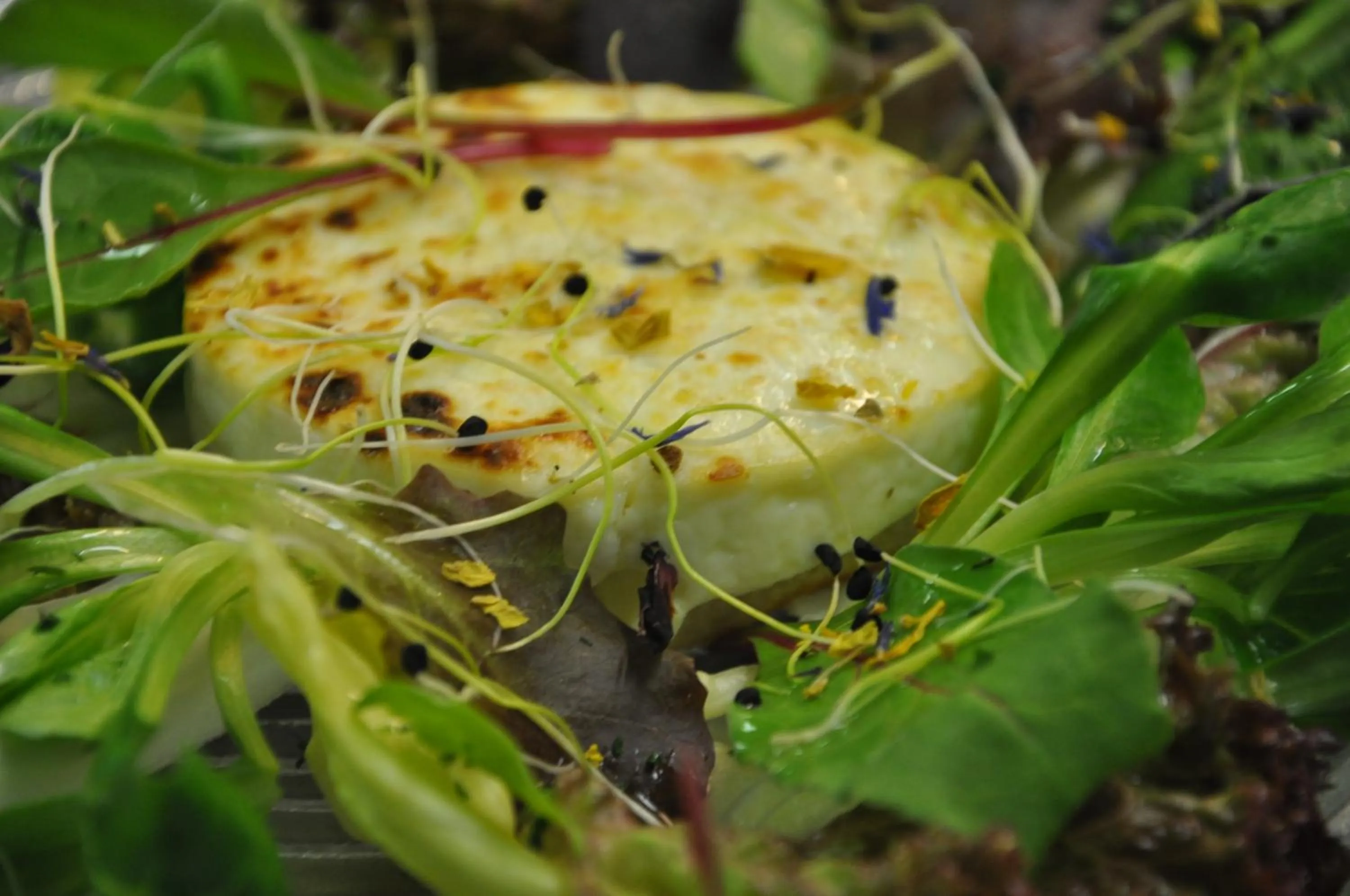 Food close-up in Hotel Traube