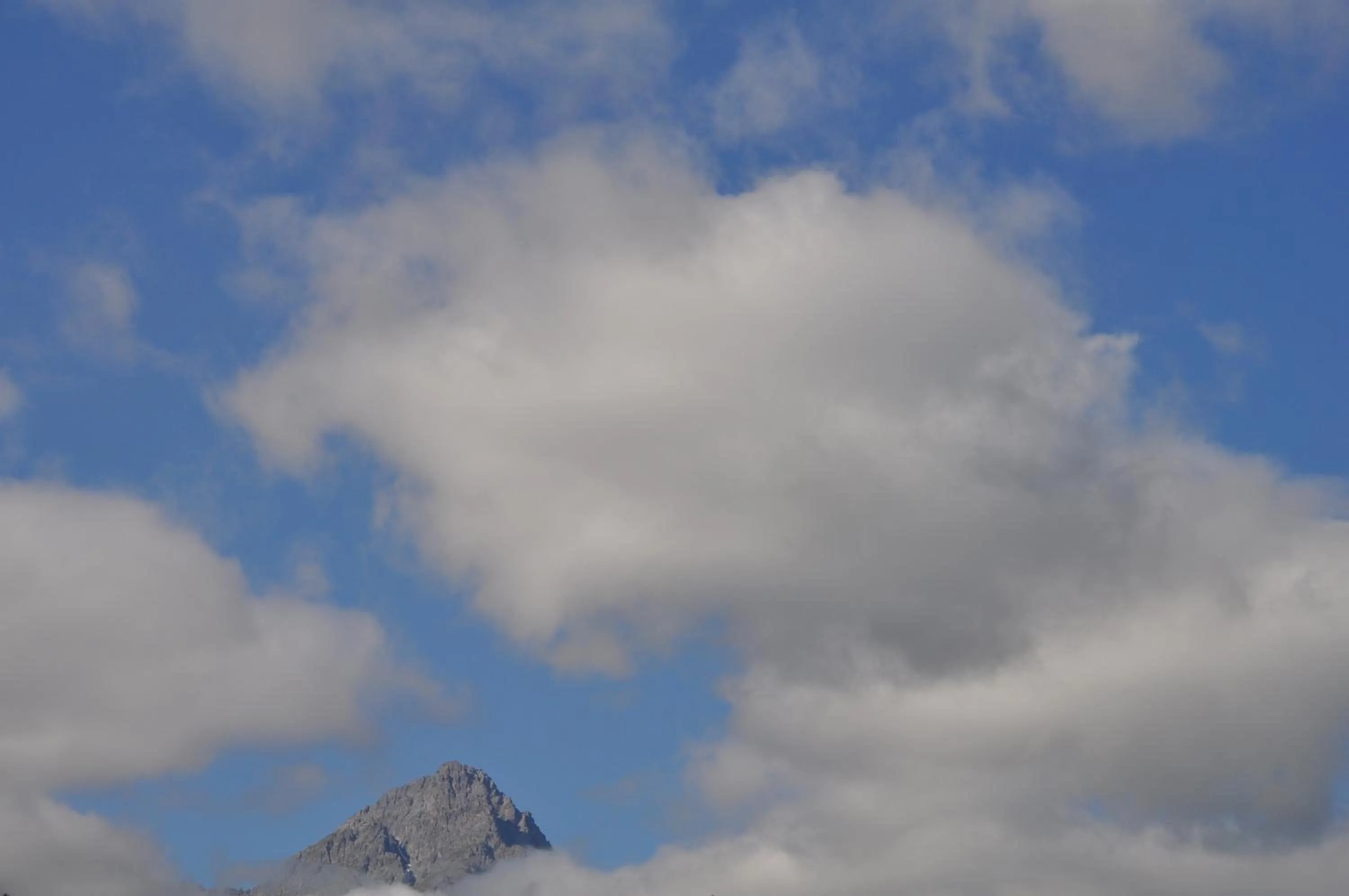 Natural landscape in Hotel Traube