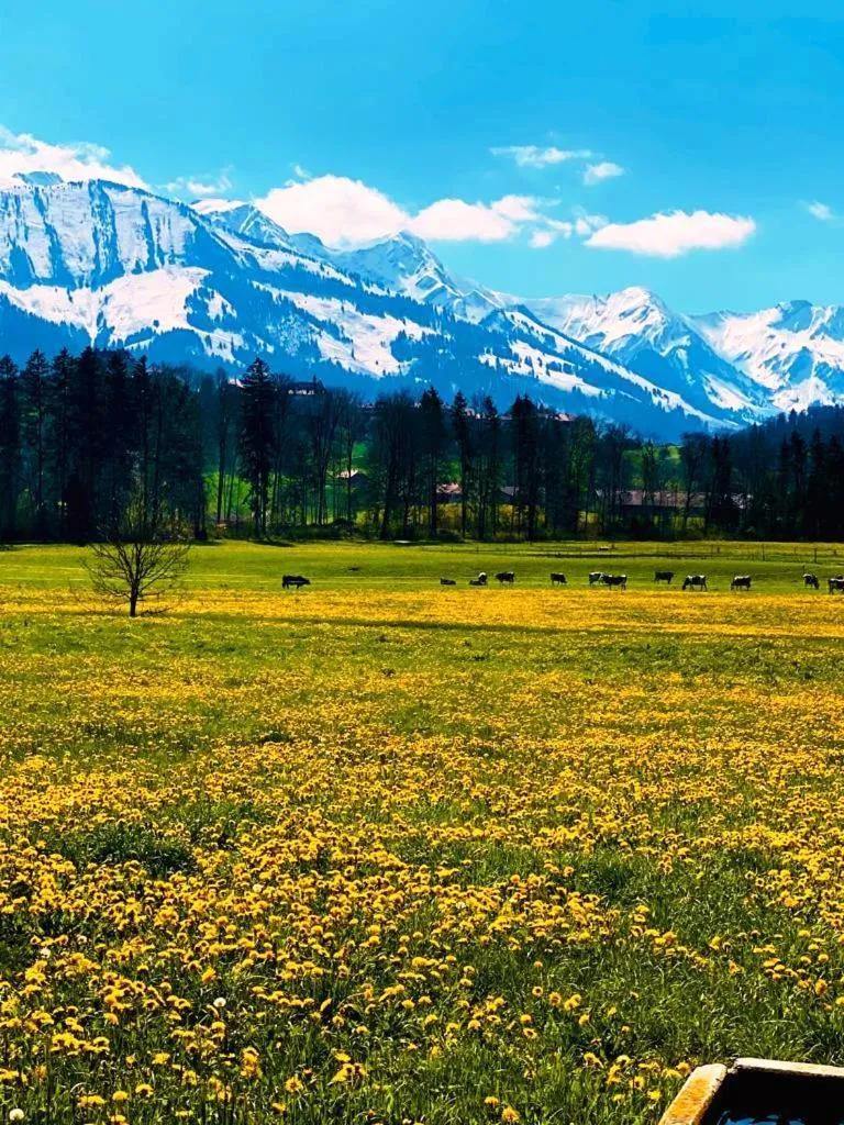 Natural landscape in Hôtel de Ville