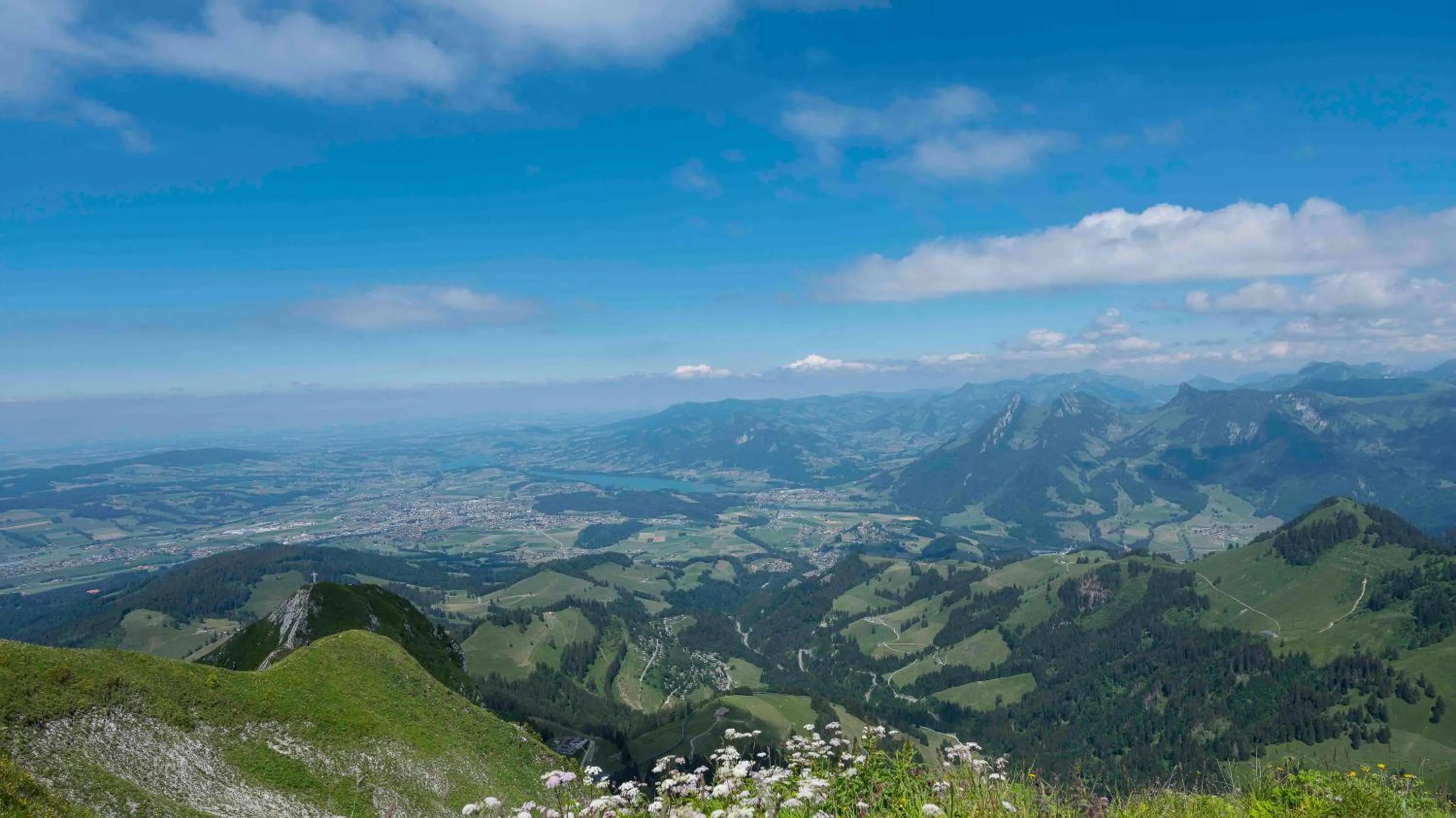 Natural landscape in Hôtel de Ville