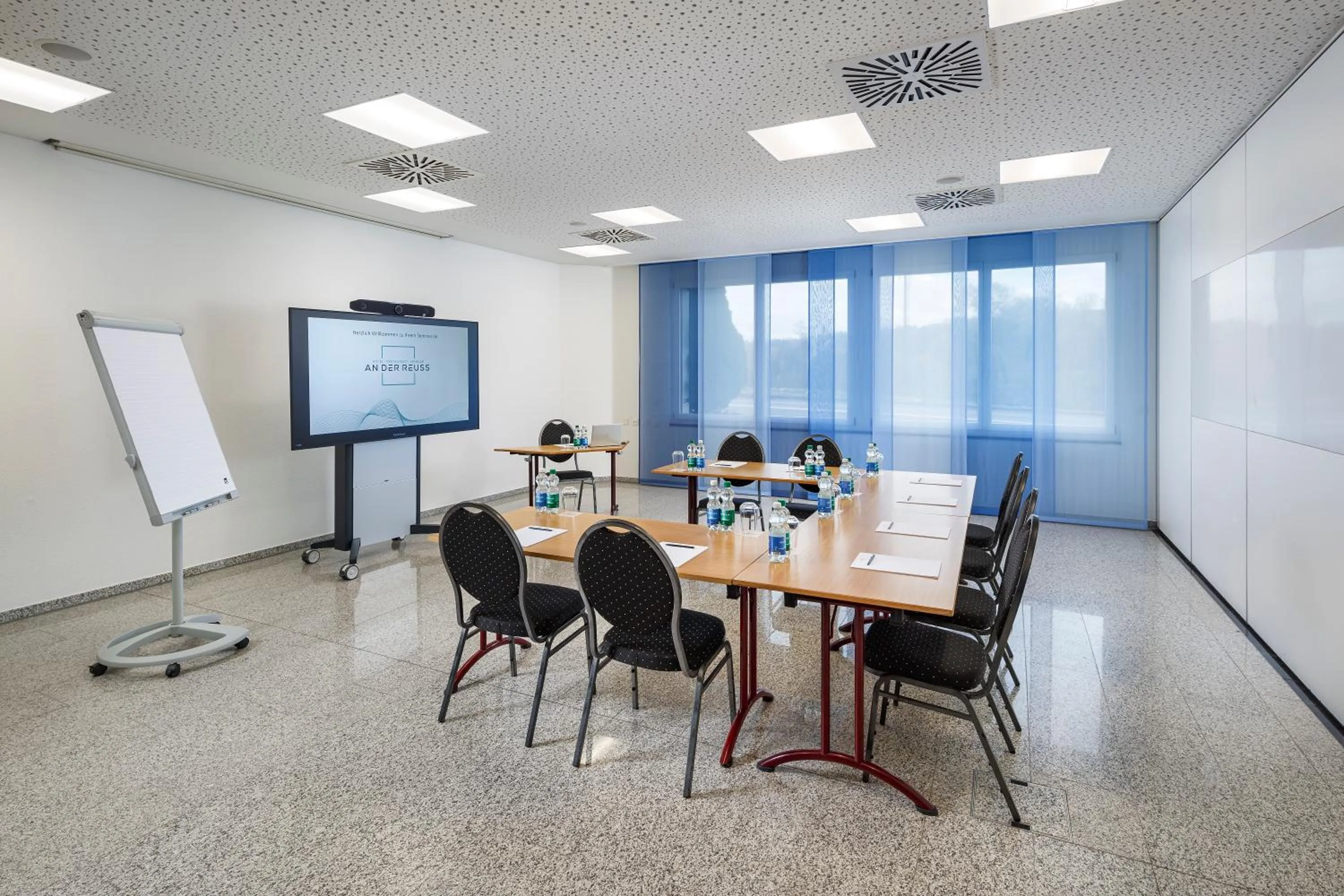 Business facilities in Hotel an der Reuss