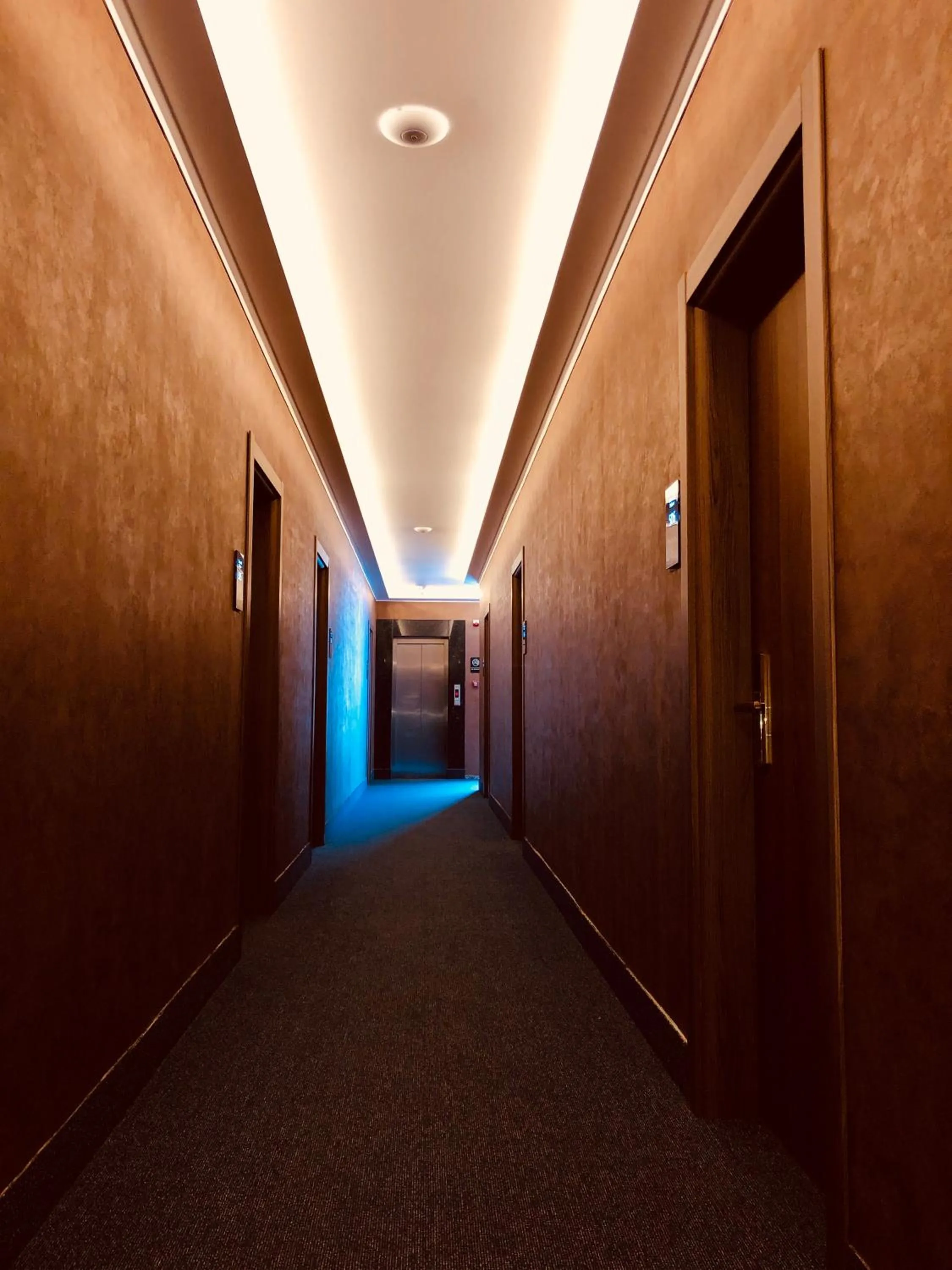 Hotel Tsereteli Palace