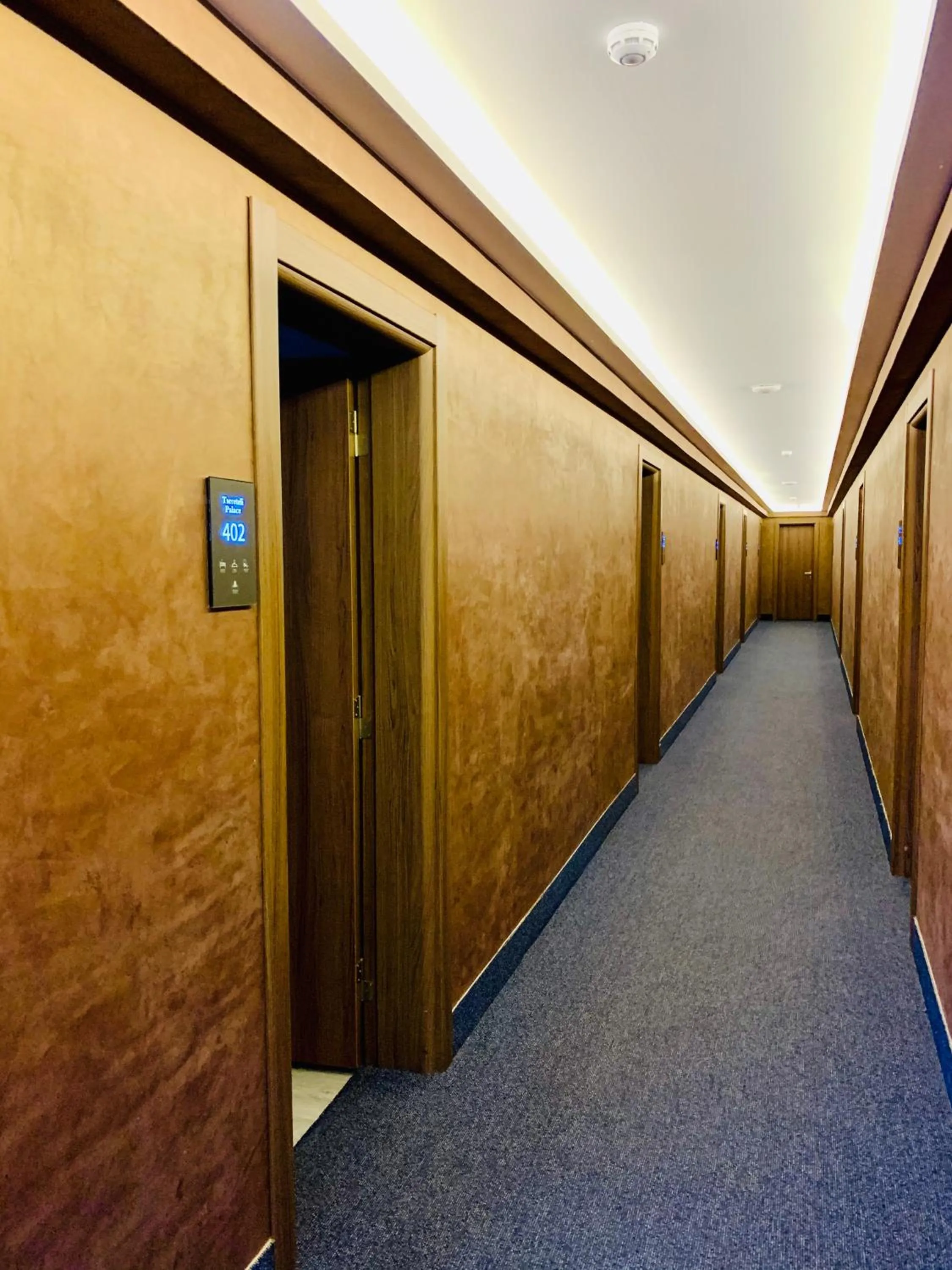 Decorative detail in Hotel Tsereteli Palace