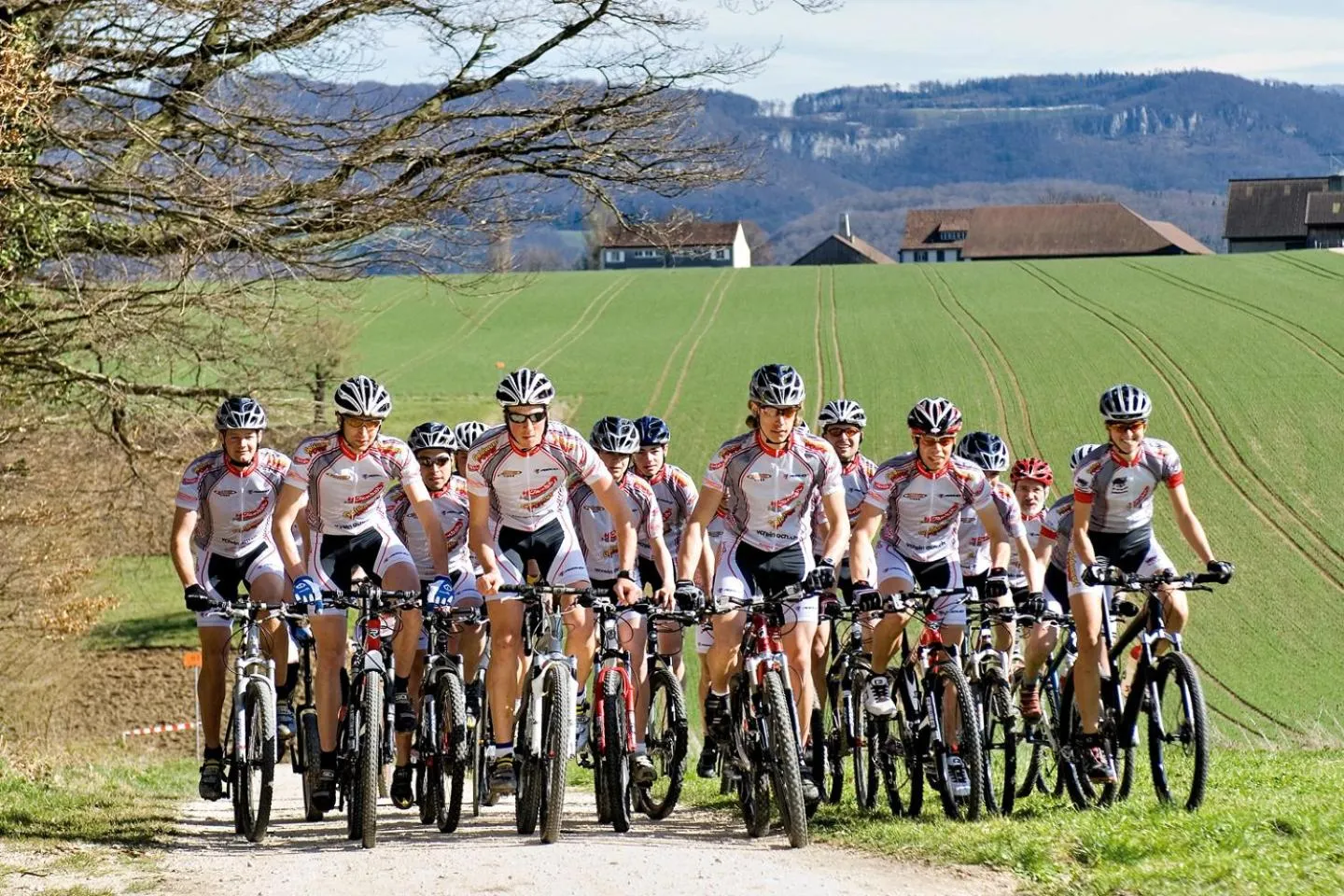 Cycling in Hotel Gasthof zum Ochsen