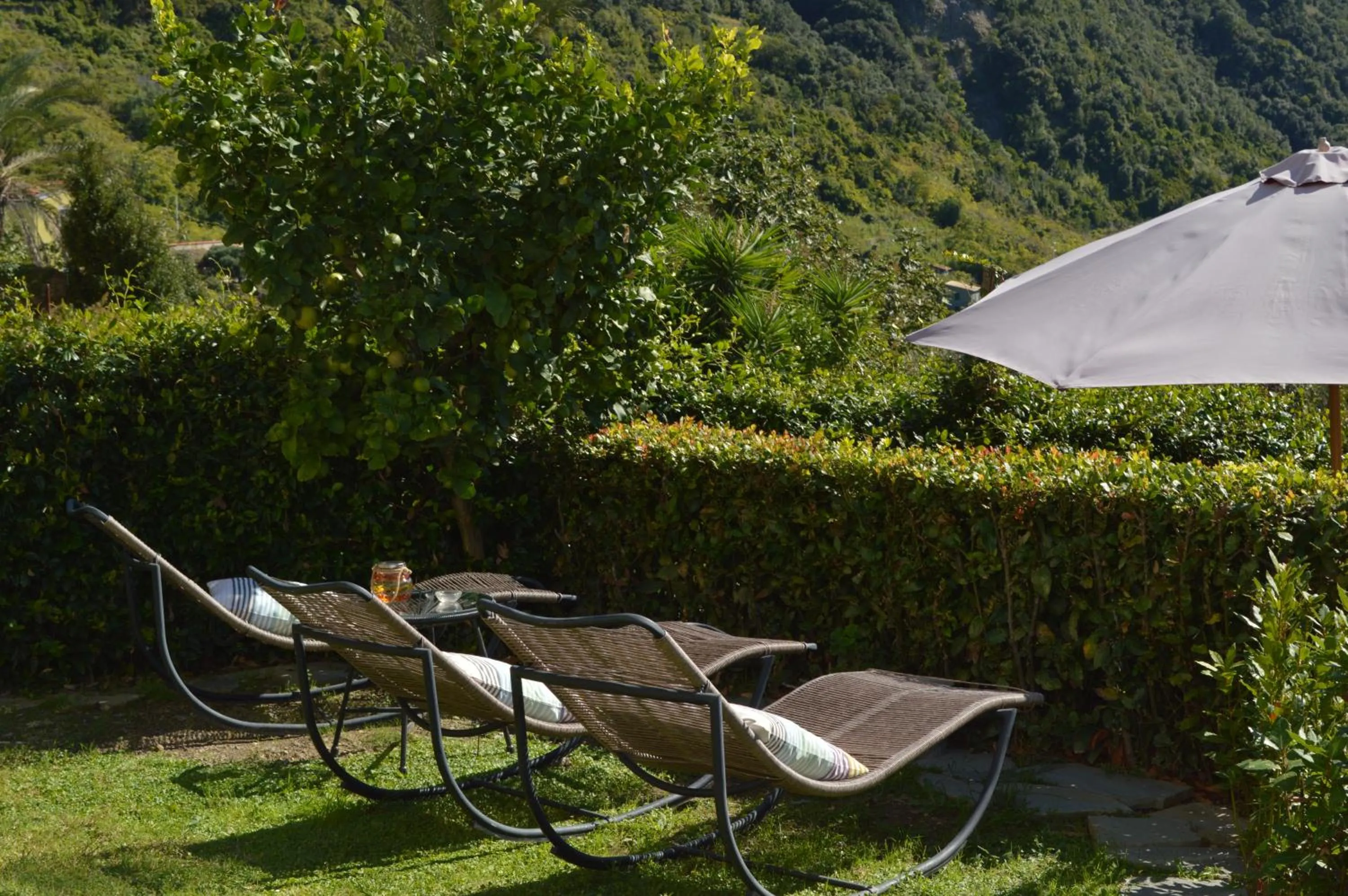 Garden in Madüneta 5 Terre