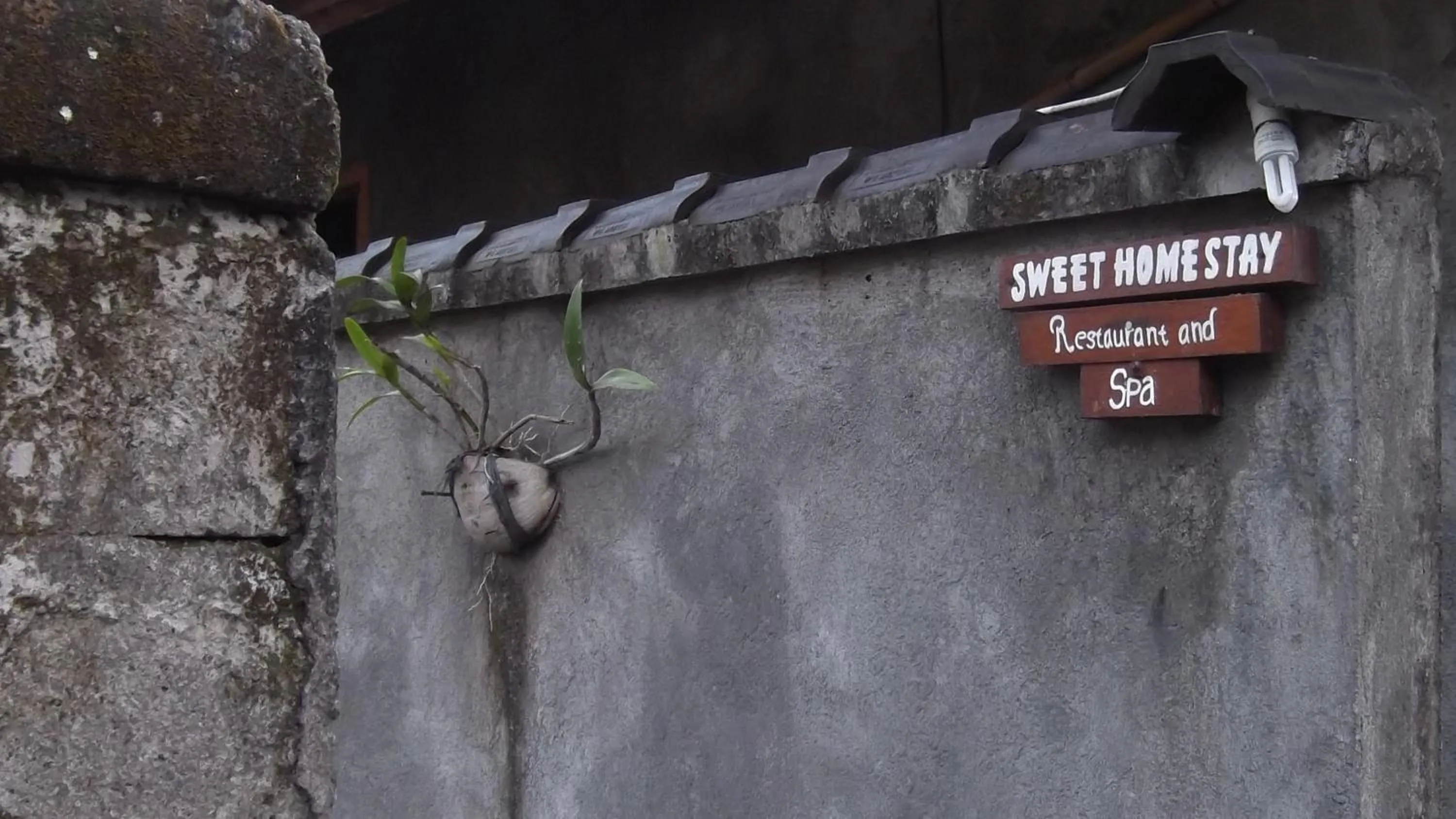 Area and facilities in Sweet Homestay