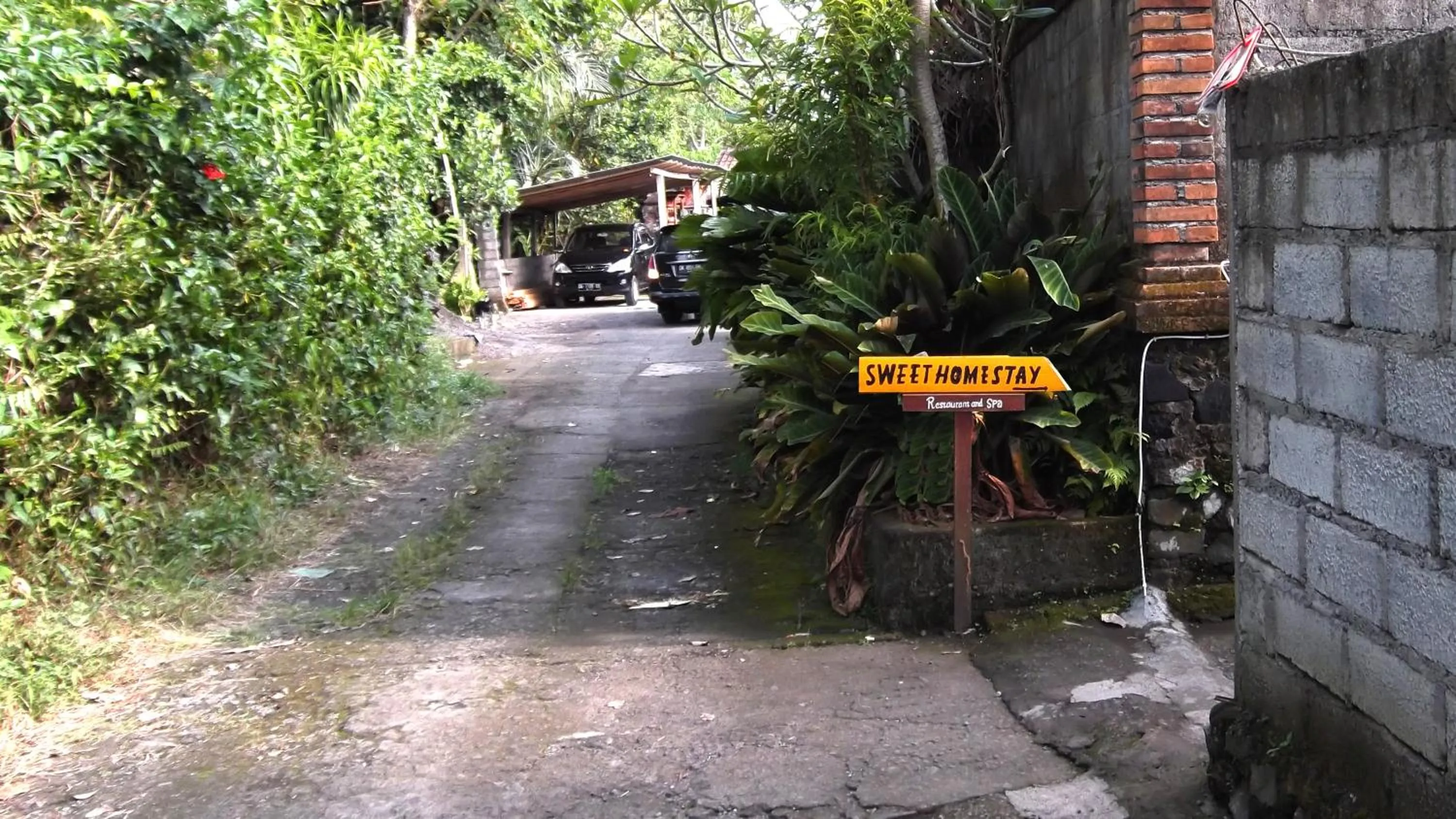 Area and facilities in Sweet Homestay