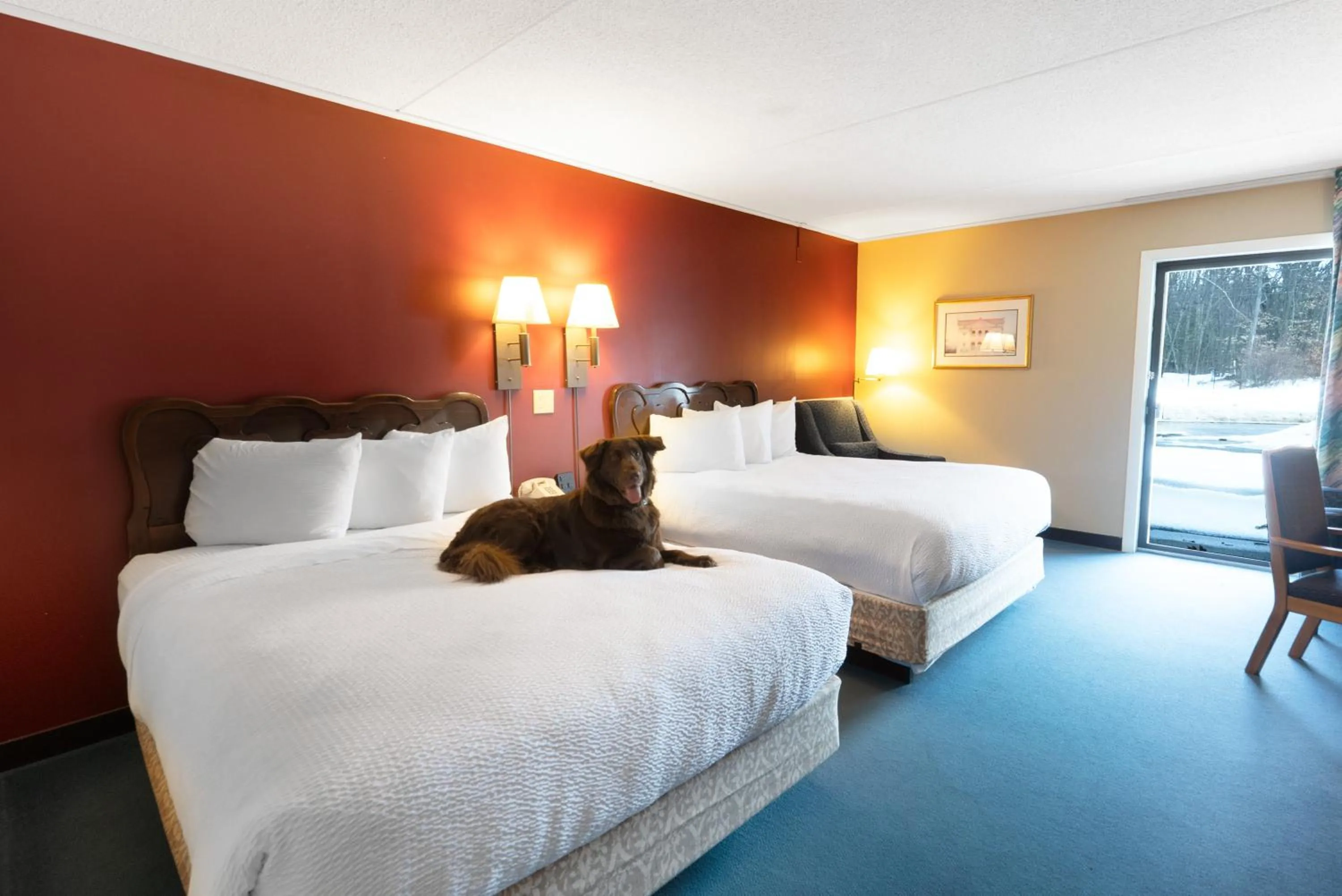 pet friendly, Bed in Fireside Inn & Suites Gilford