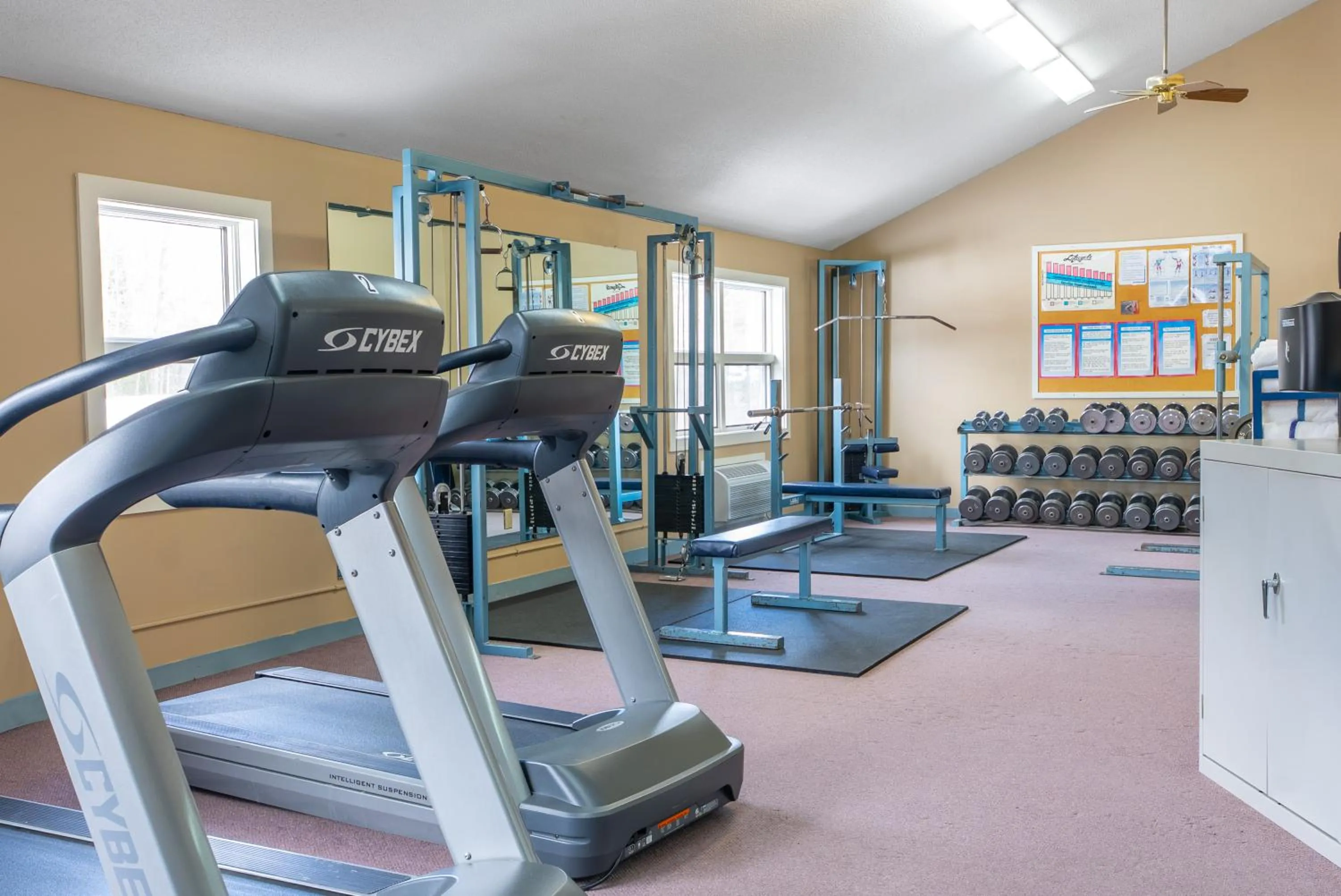 Fitness centre/facilities in Fireside Inn & Suites Gilford